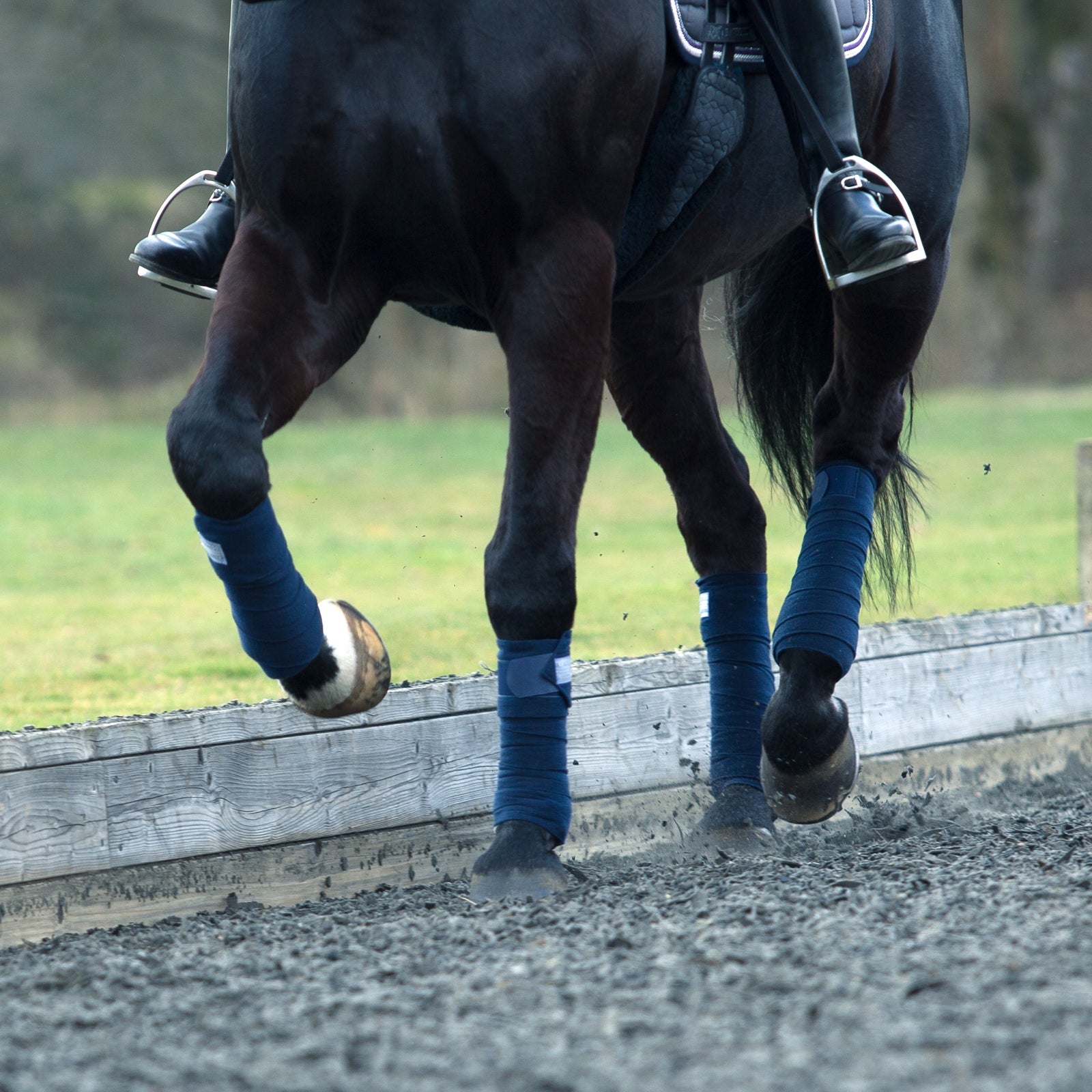 B Vertigo France Stable Bandages Leg Protection & Hoof Protection for Horses