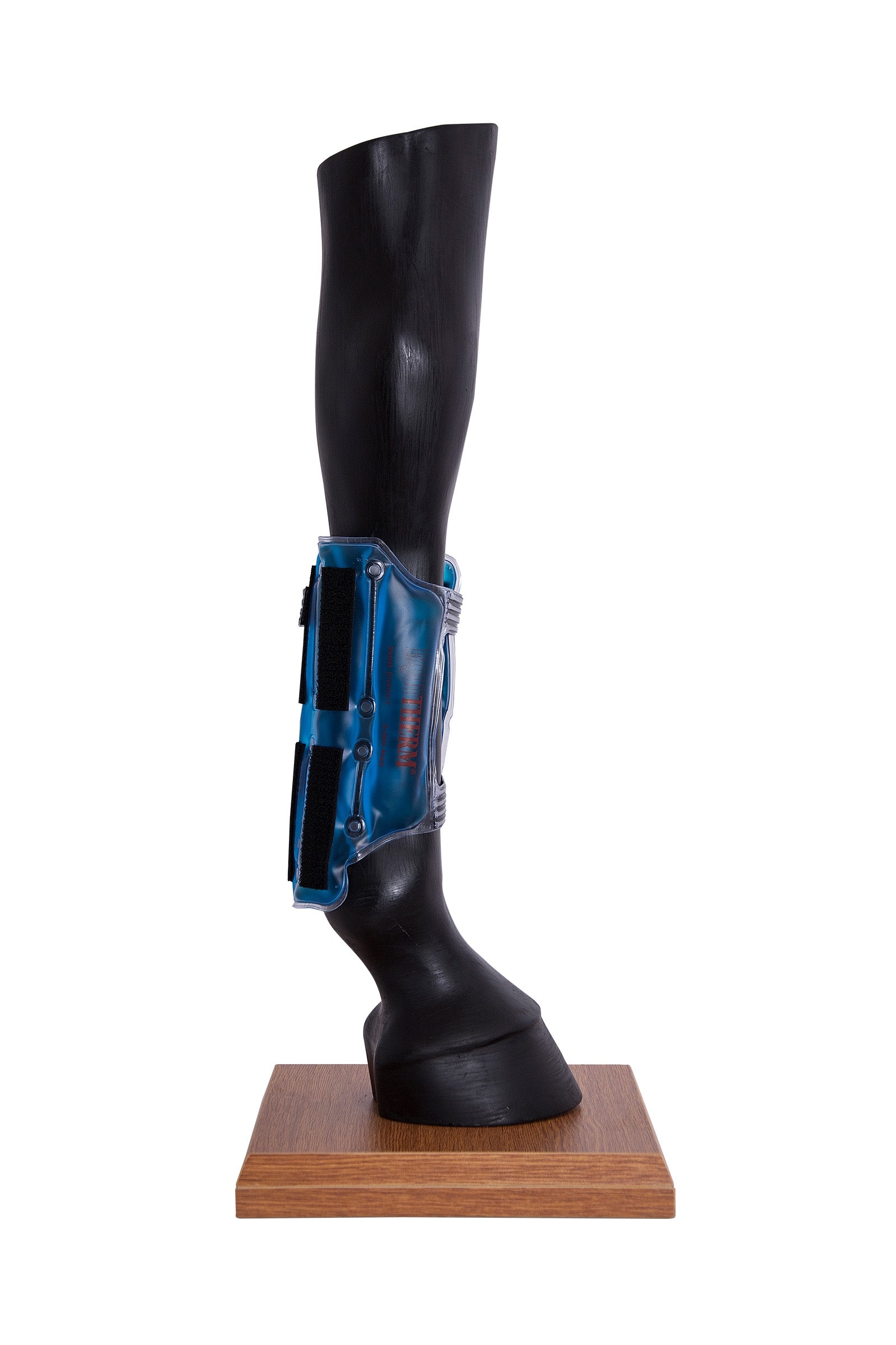 Stassek Equitherm bandageunderlag Leg Protection & Hoof Protection for Horses