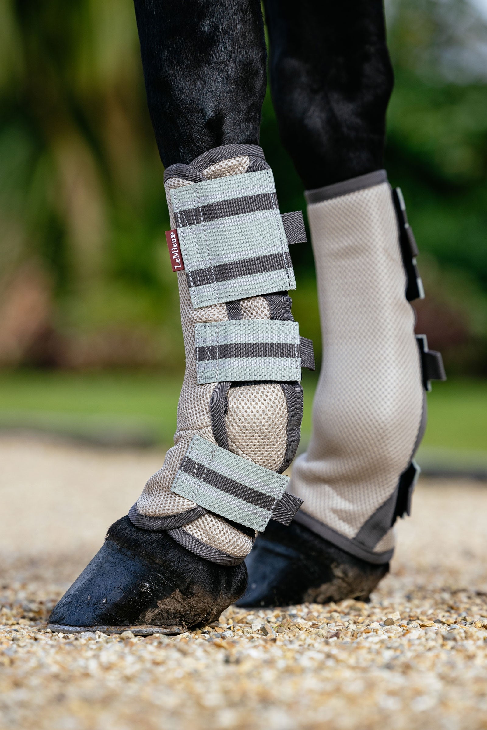 LeMieux Arika Mesh Boots til heste mod fluer (Sæt med 4) Fluebeskyttelse