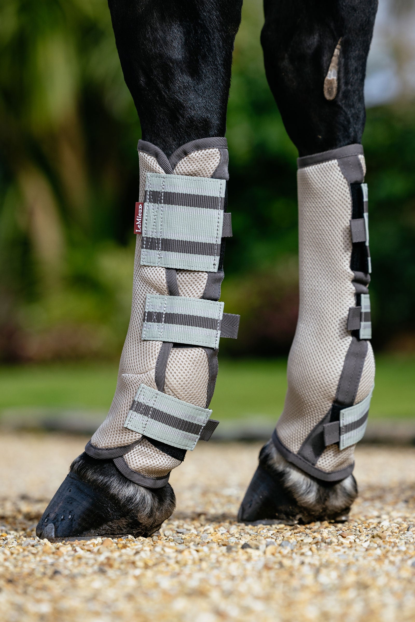 LeMieux Arika Mesh Fly Boots (Set of 4) Antifly Protection for Horses