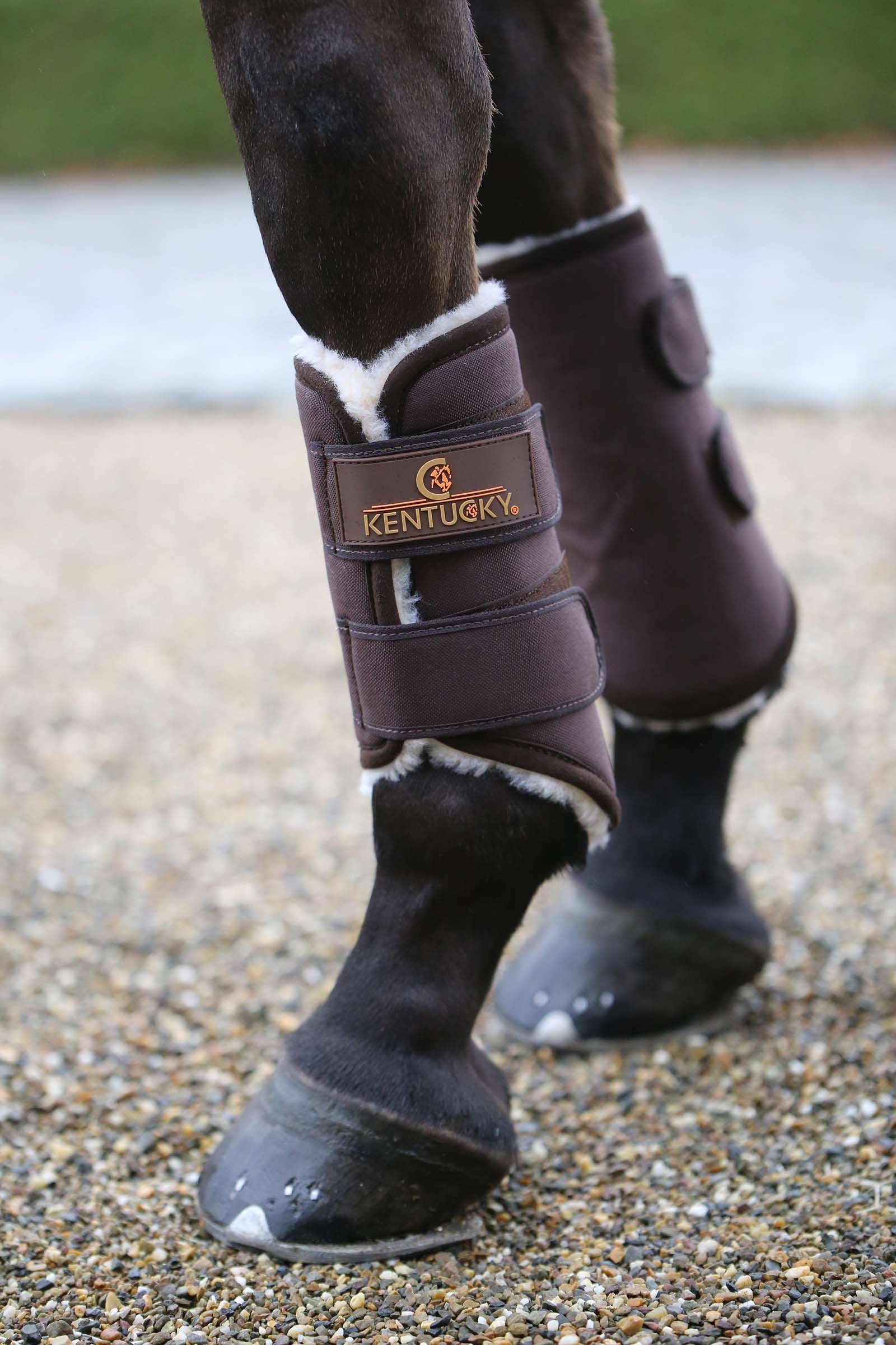 Kentucky Horsewear Solimbra Turnout Boots, Hind Leg Protection & Hoof Protection for Horses