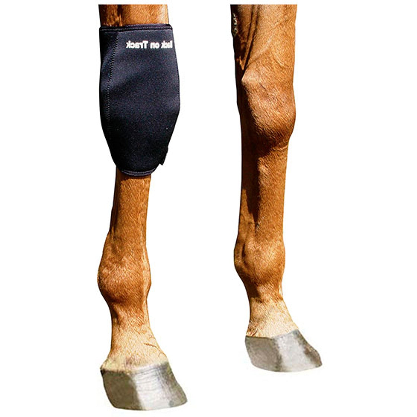 Back on Track knæbandage, højre Leg Protection & Hoof Protection for Horses
