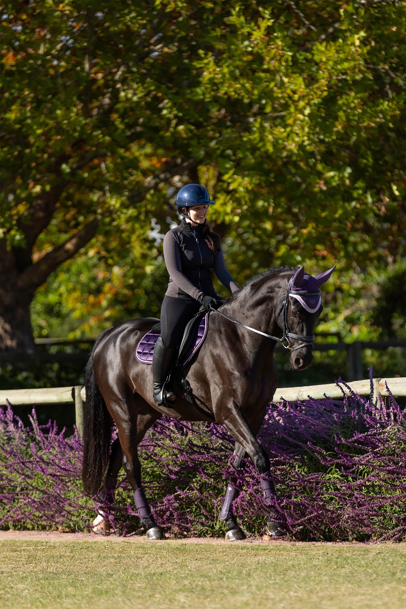 LeMieux Merino+ Loire Classic Close Contact Saddle Pad Saddle Pads