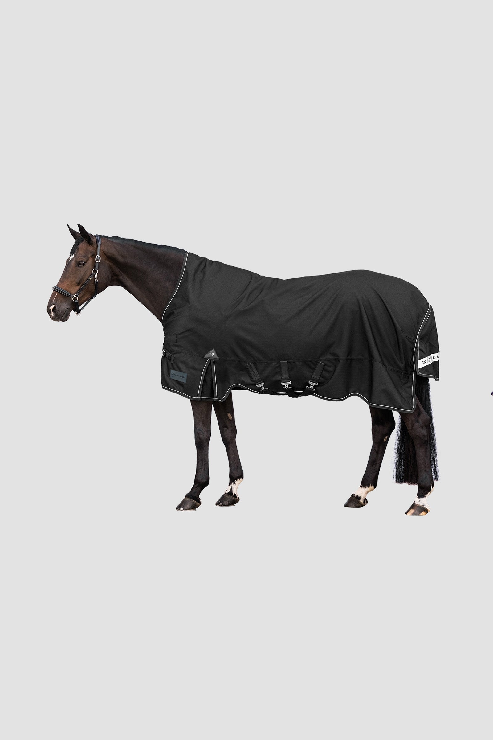 Waldhausen Outdoor Rug Scandic High Neck 100 g Horse Rugs