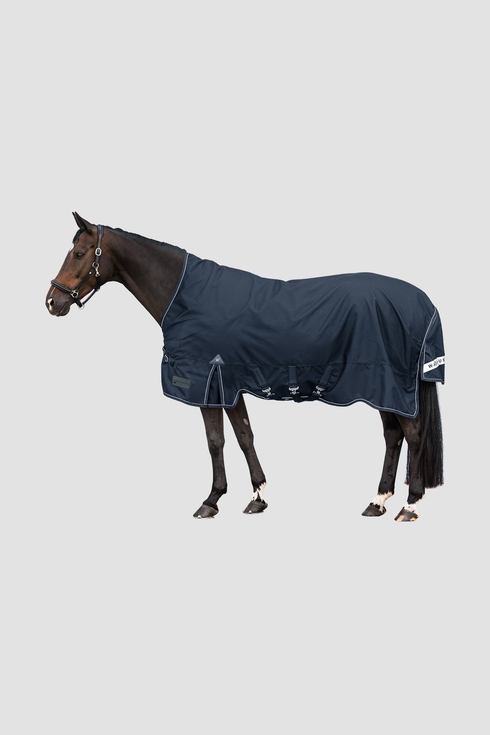 Waldhausen Outdoor Rug Scandic High Neck 100 g Hestedækken