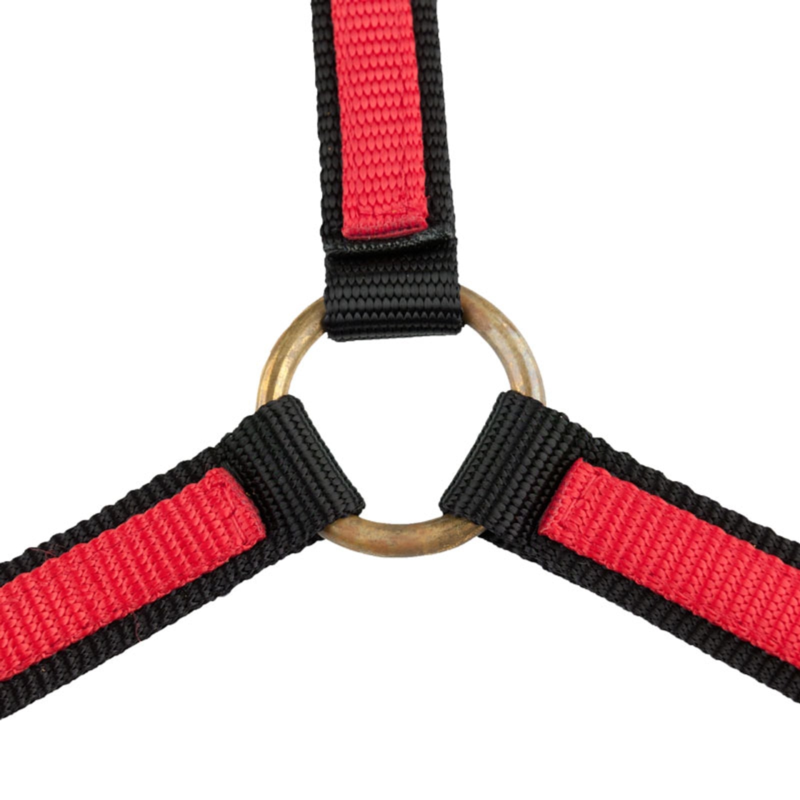 Finntack Yankee nylon halter, open nose (20mm) Halters & Leads