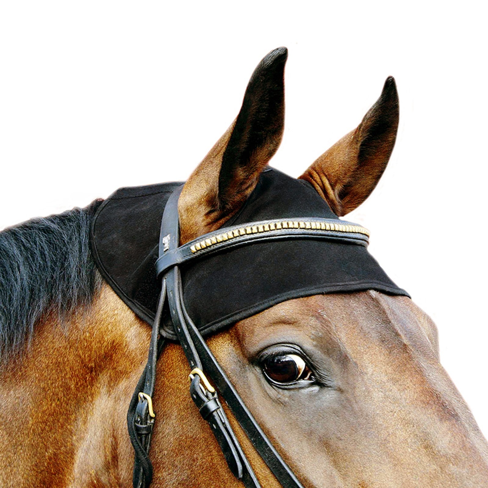Back on Track nakkevarmer til hest Fluebeskyttelse