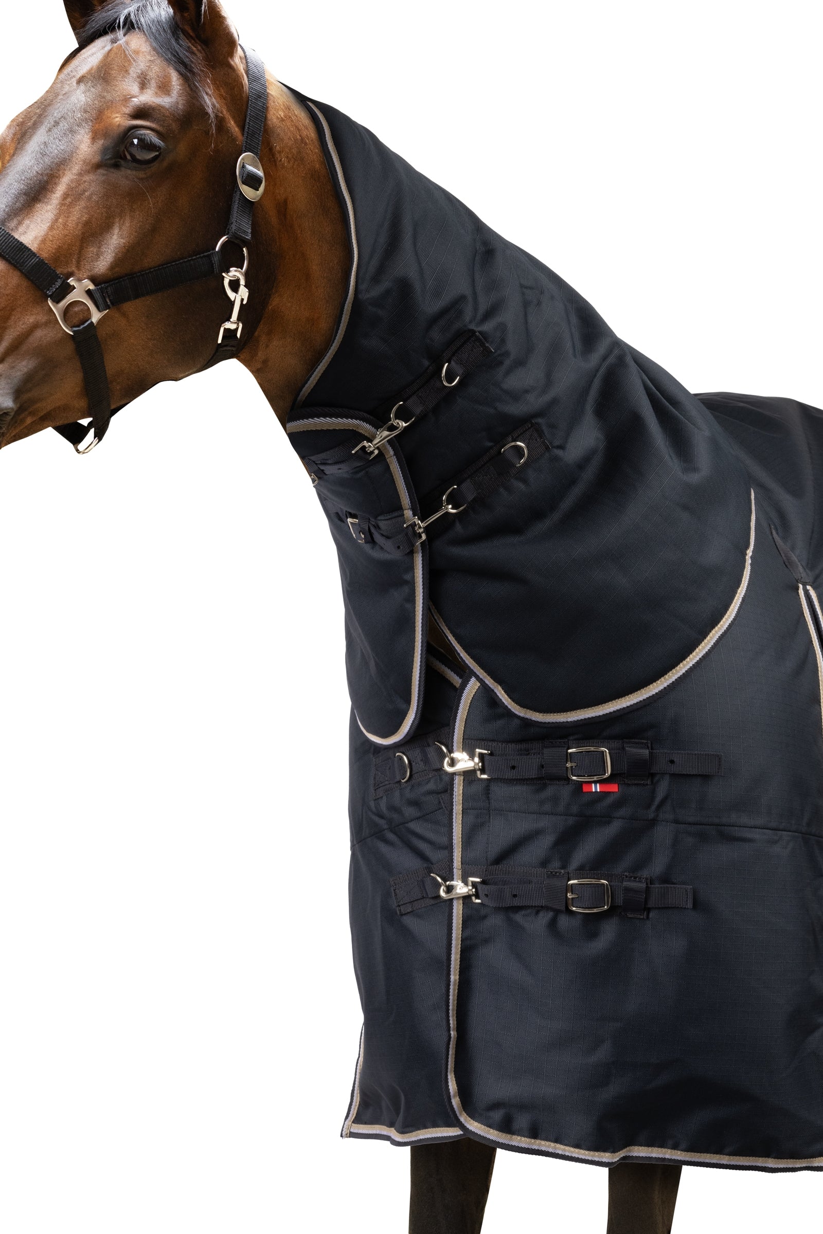 B Vertigo Georgina Turnout with Neck 400g Horse Rugs