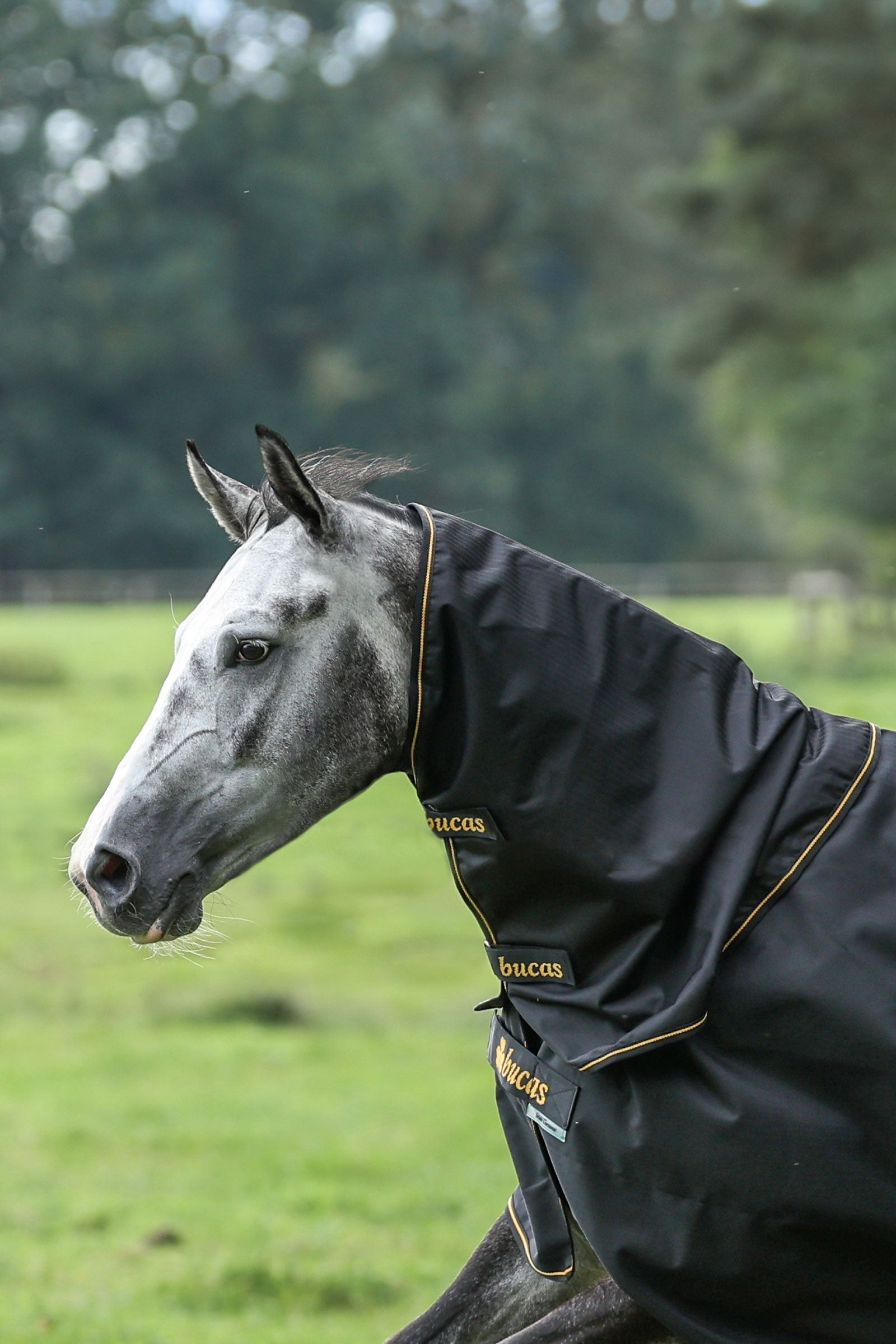 Bucas Irish Turnout Neck Piece, 0g Horse Rugs