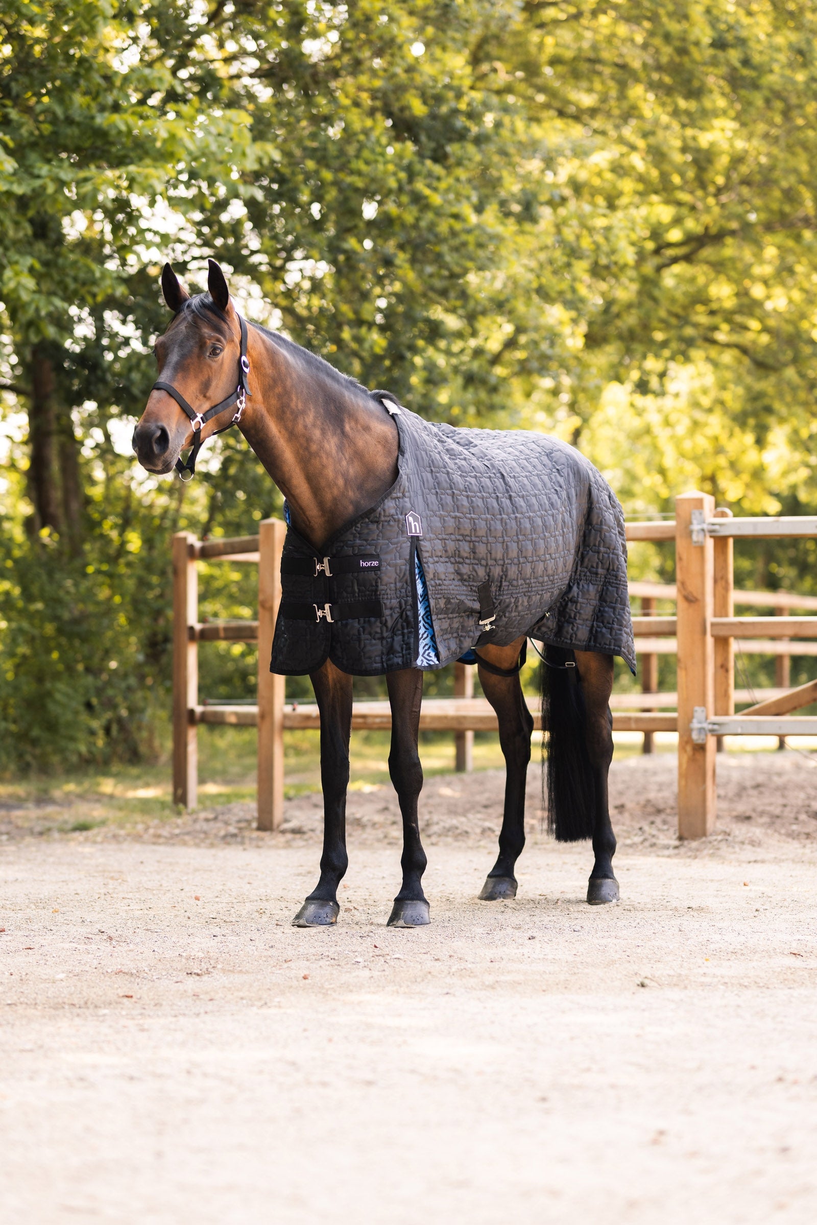 Horze Quebec Stable Rug 100g Horse Rugs