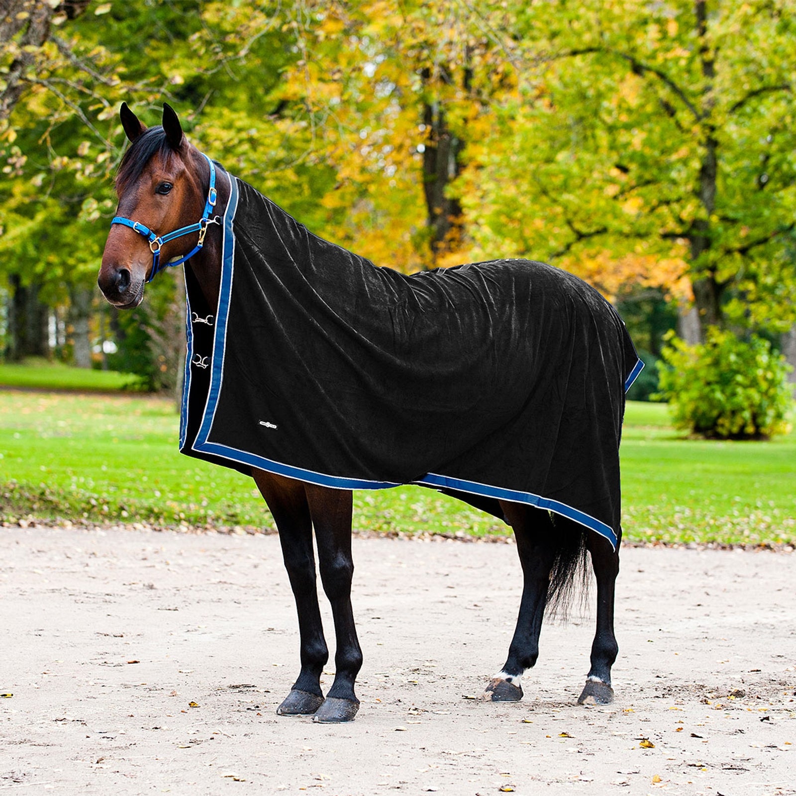 Finntack Fleece cooler Hestedækken