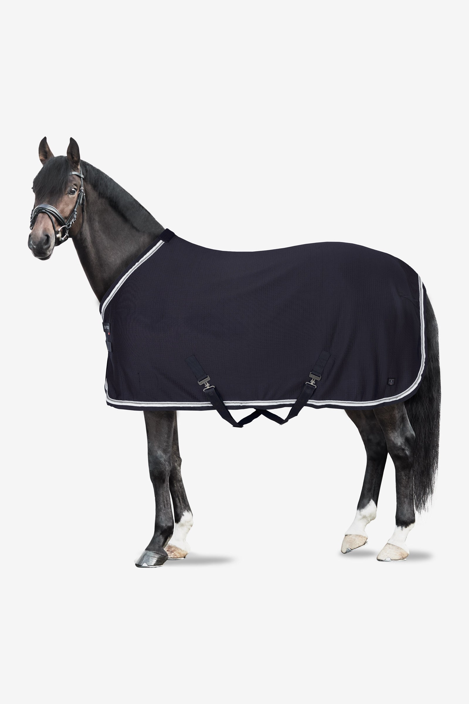 B Vertigo Cameron Functional Rug with UV protection Horse Rugs