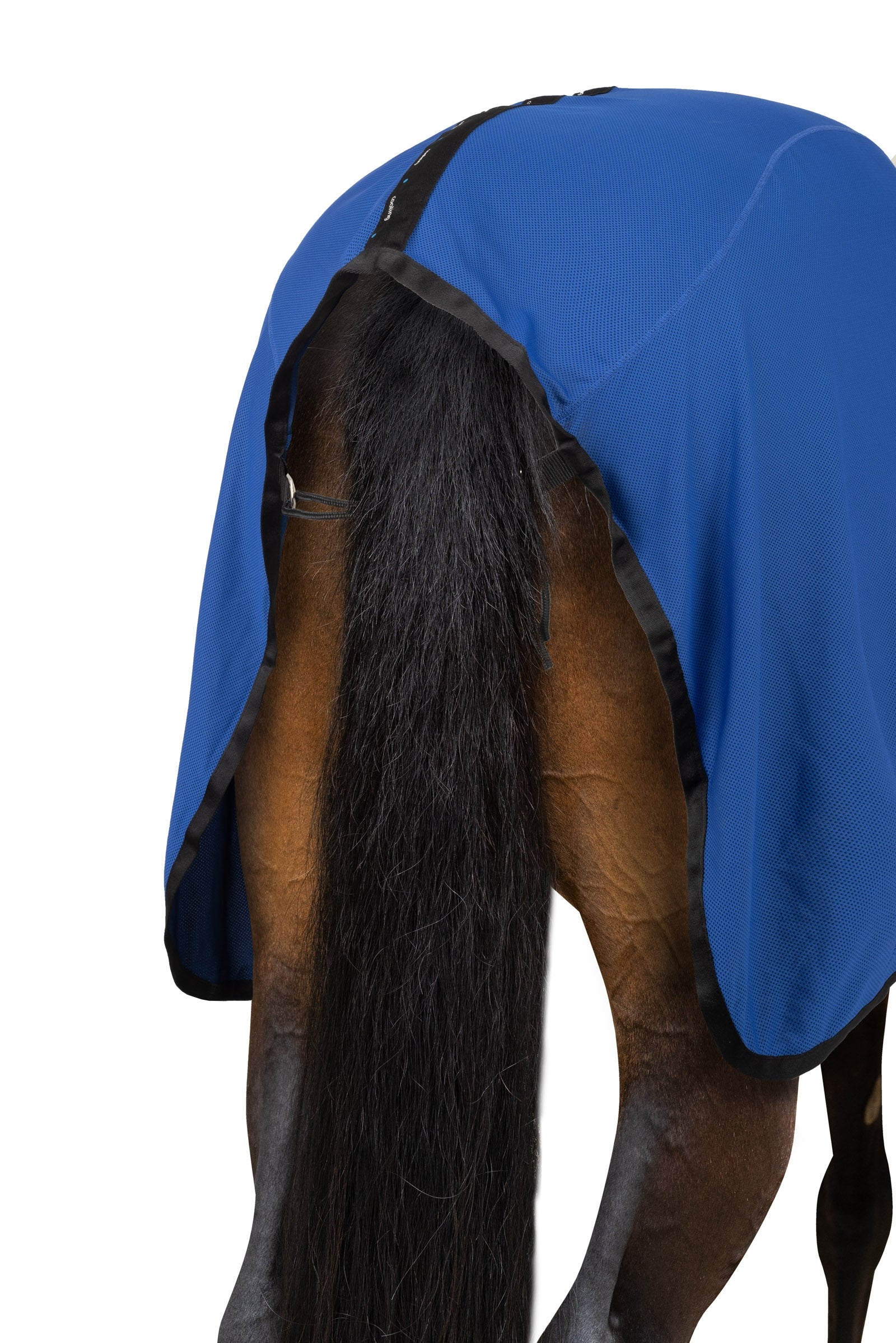 Horze Cooling Mesh Rug Horse Rugs