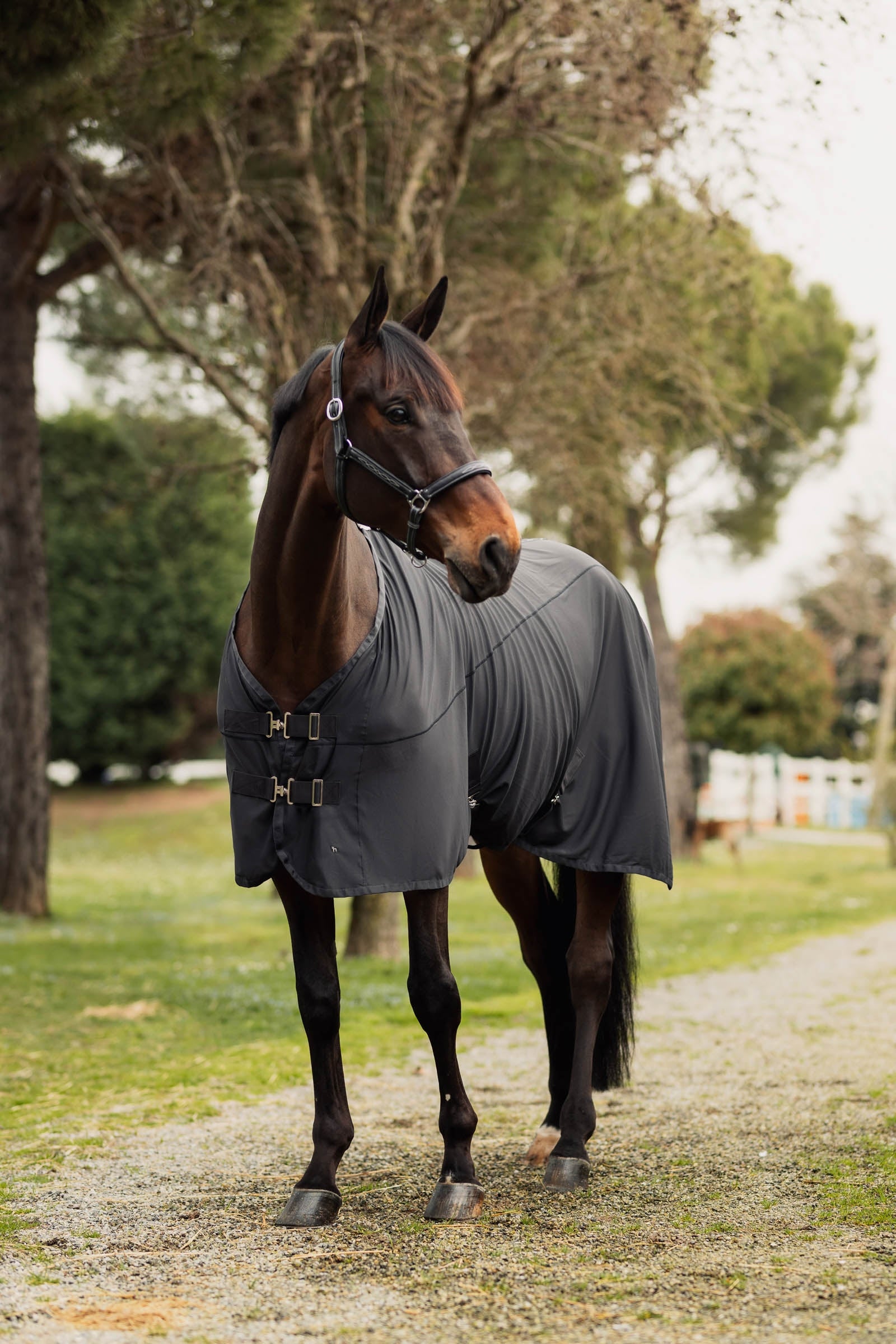 Horze Cooling Mesh Rug Horse Rugs