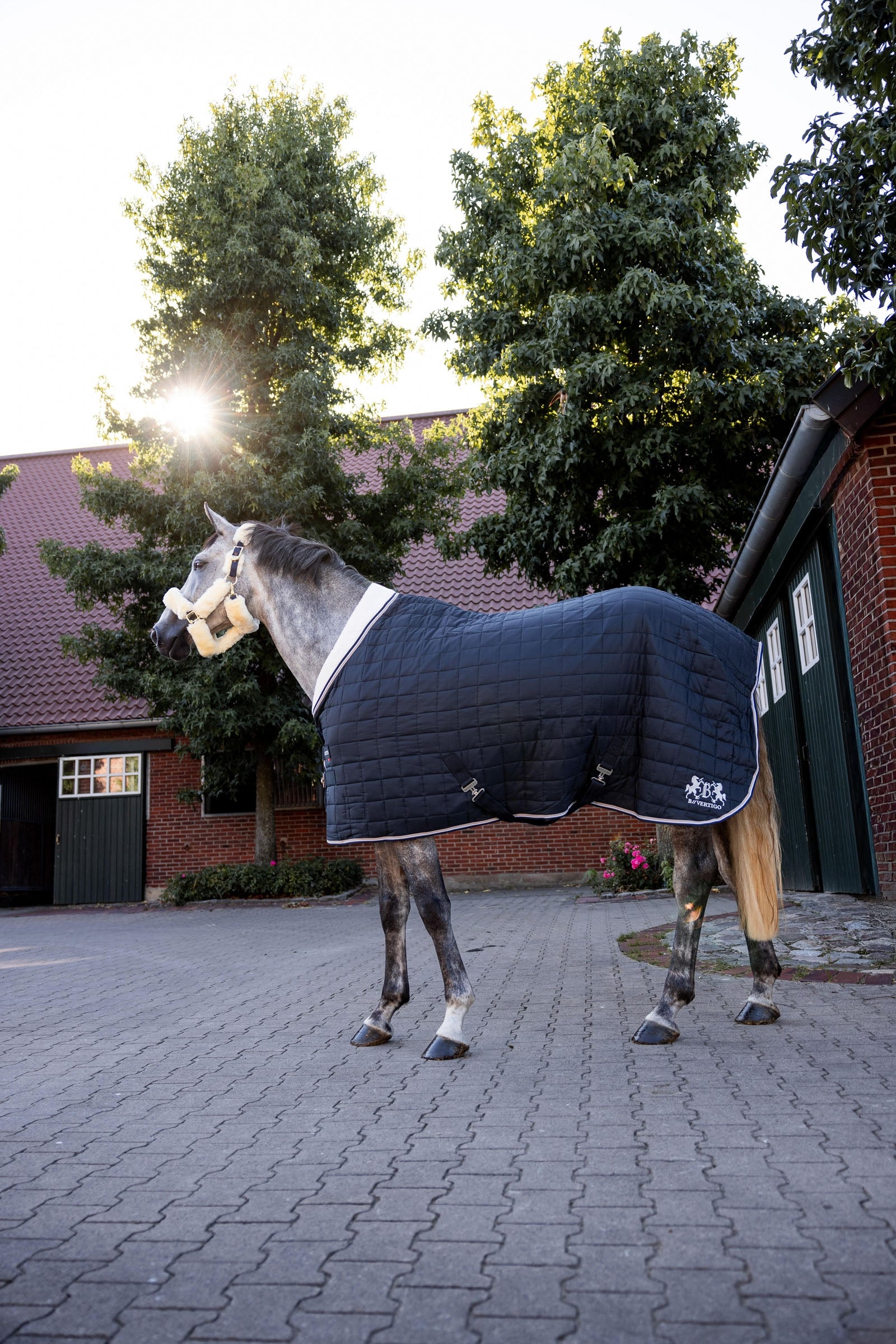 B Vertigo Theo Stable Rug, 150g Horse Rugs