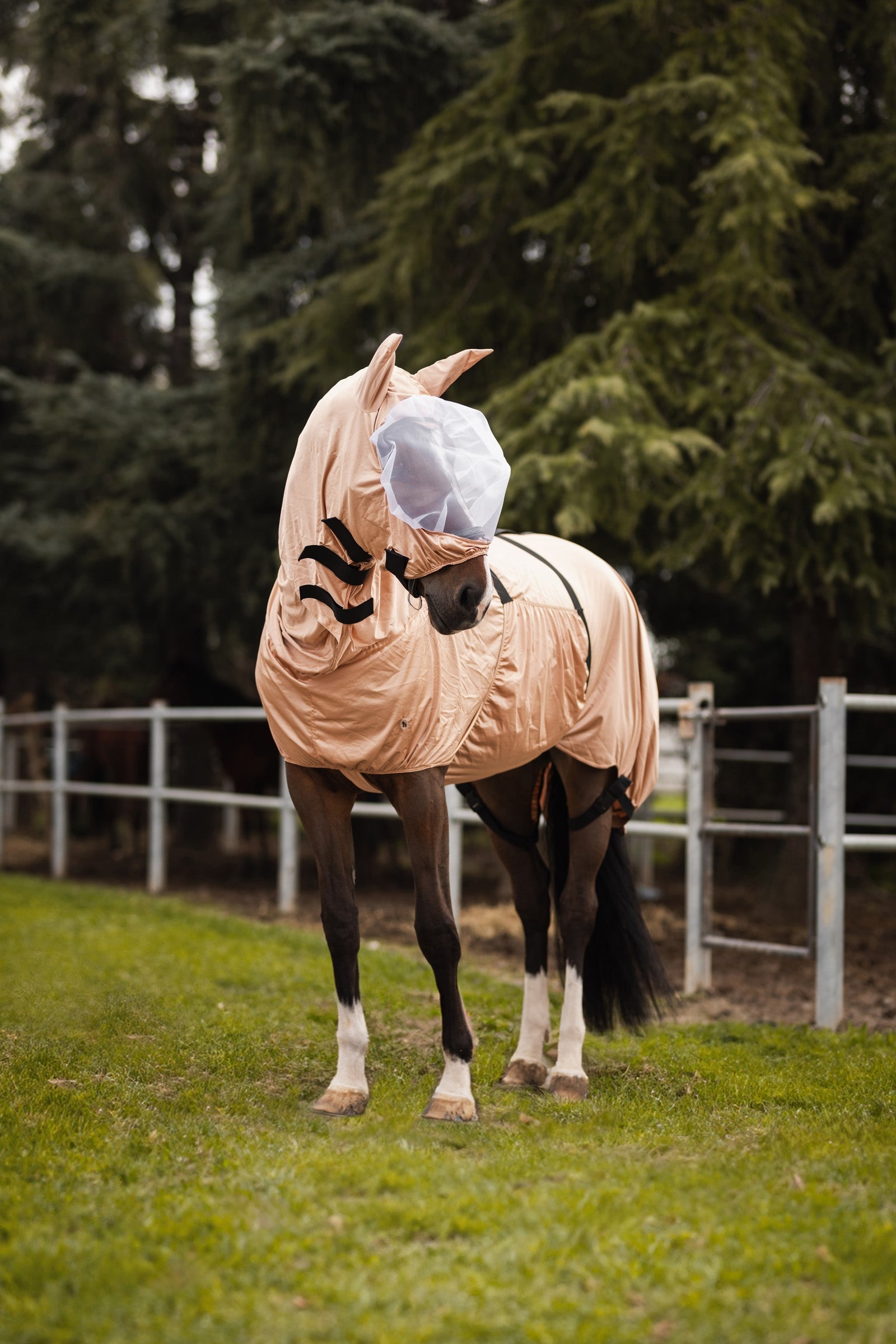 Horze Cover UV Eczema Hood Horse Rugs