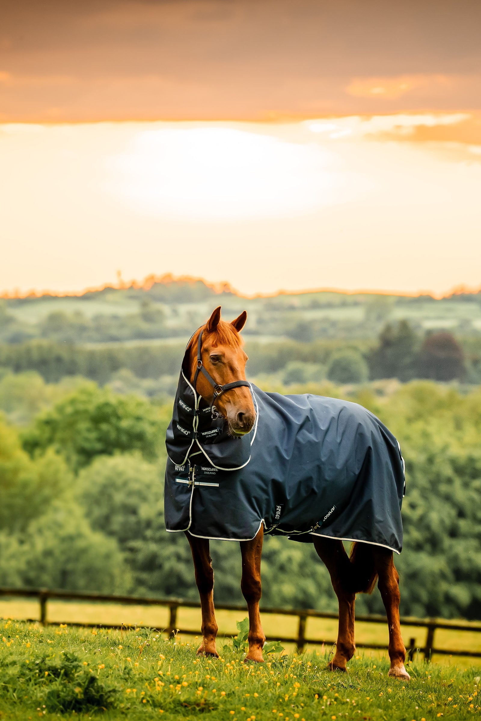 Horseware Amigo Ripstop 900D Plus udedækken med aftagelig halsdel, 100 g Hestedækken