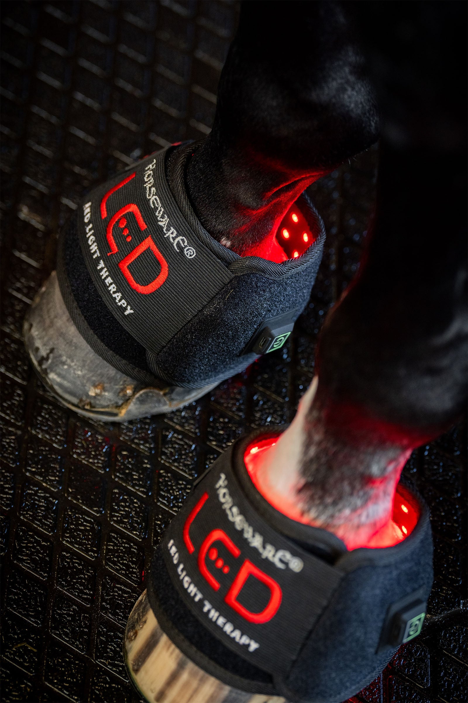 Horseware LED rødlysterapi mini hesteboot (1 stk.) Leg Protection & Hoof Protection for Horses
