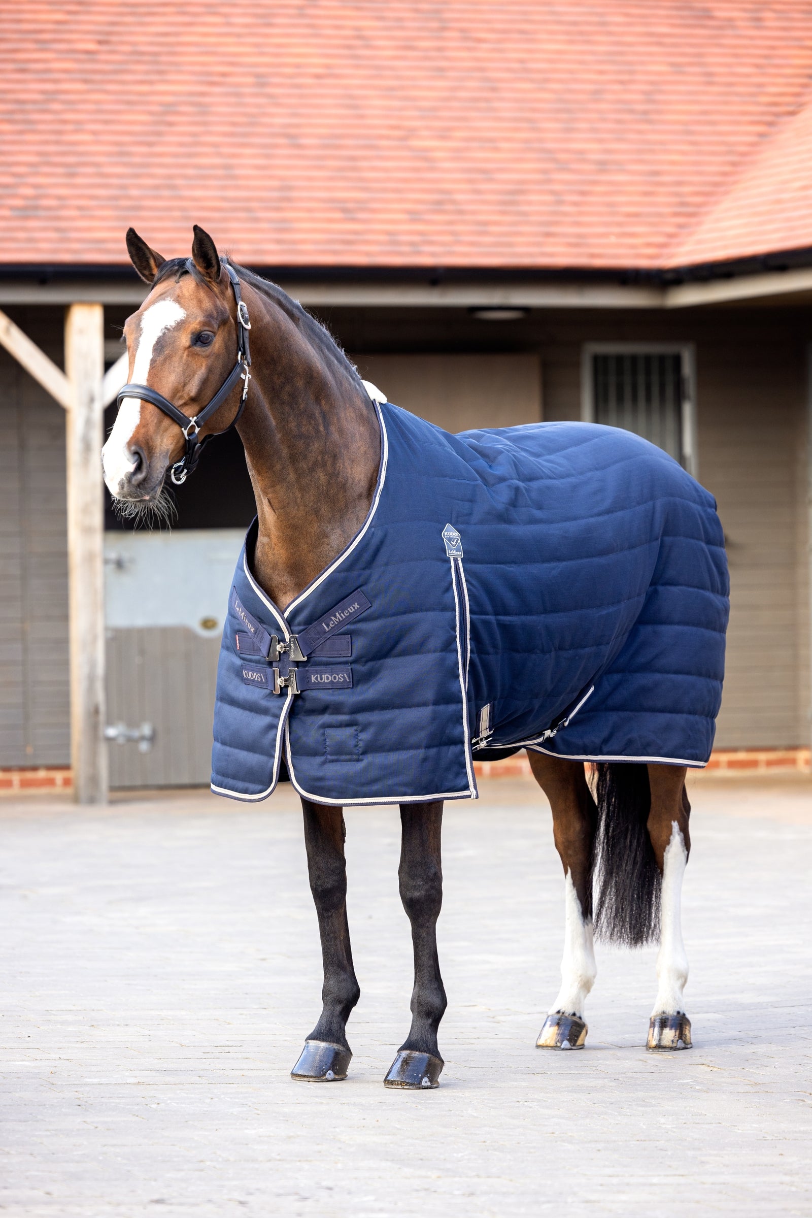 LeMieux Kudos Stable Rug, 100g Hestedækken