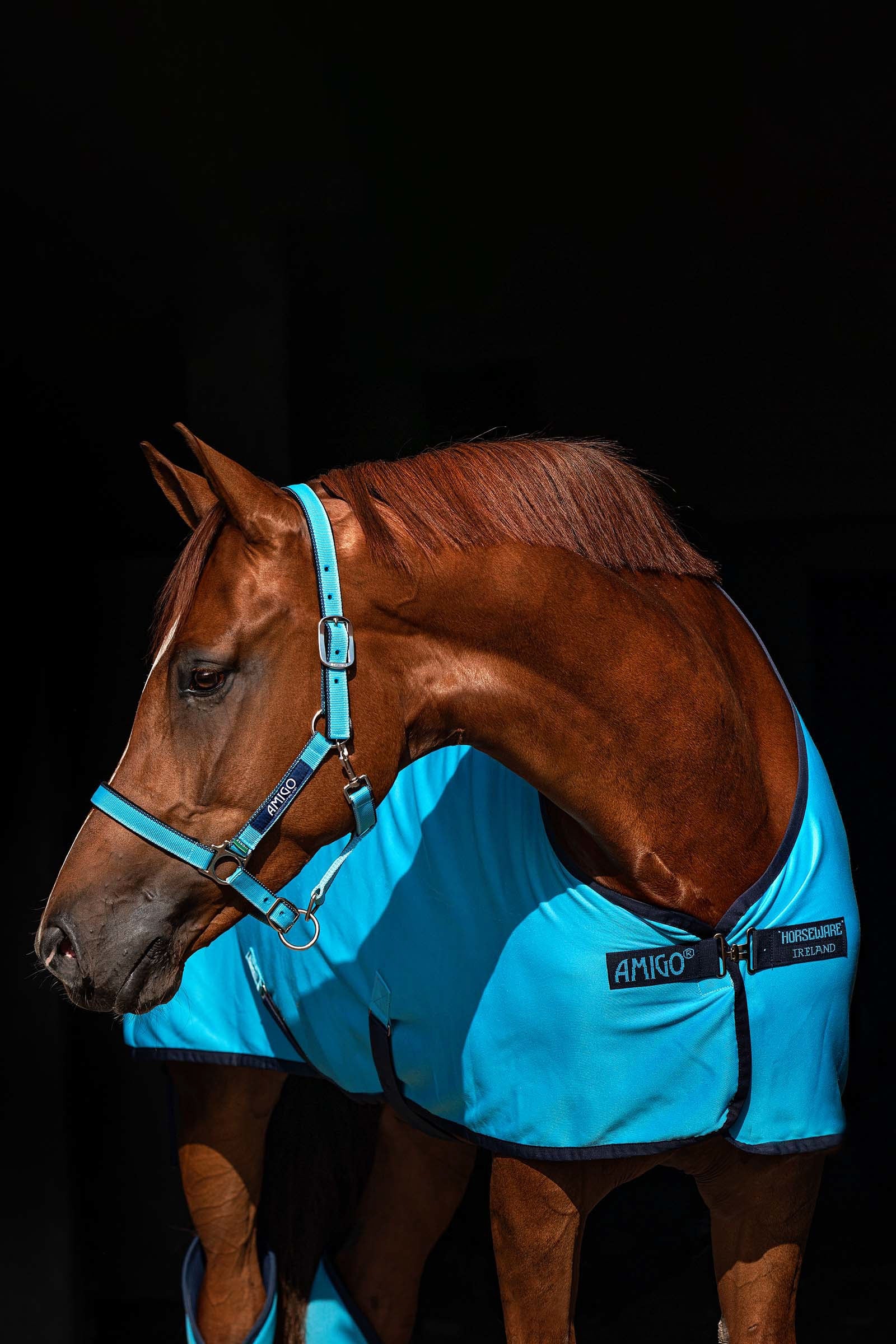 Horseware Amigo grime Grimer & Træktove
