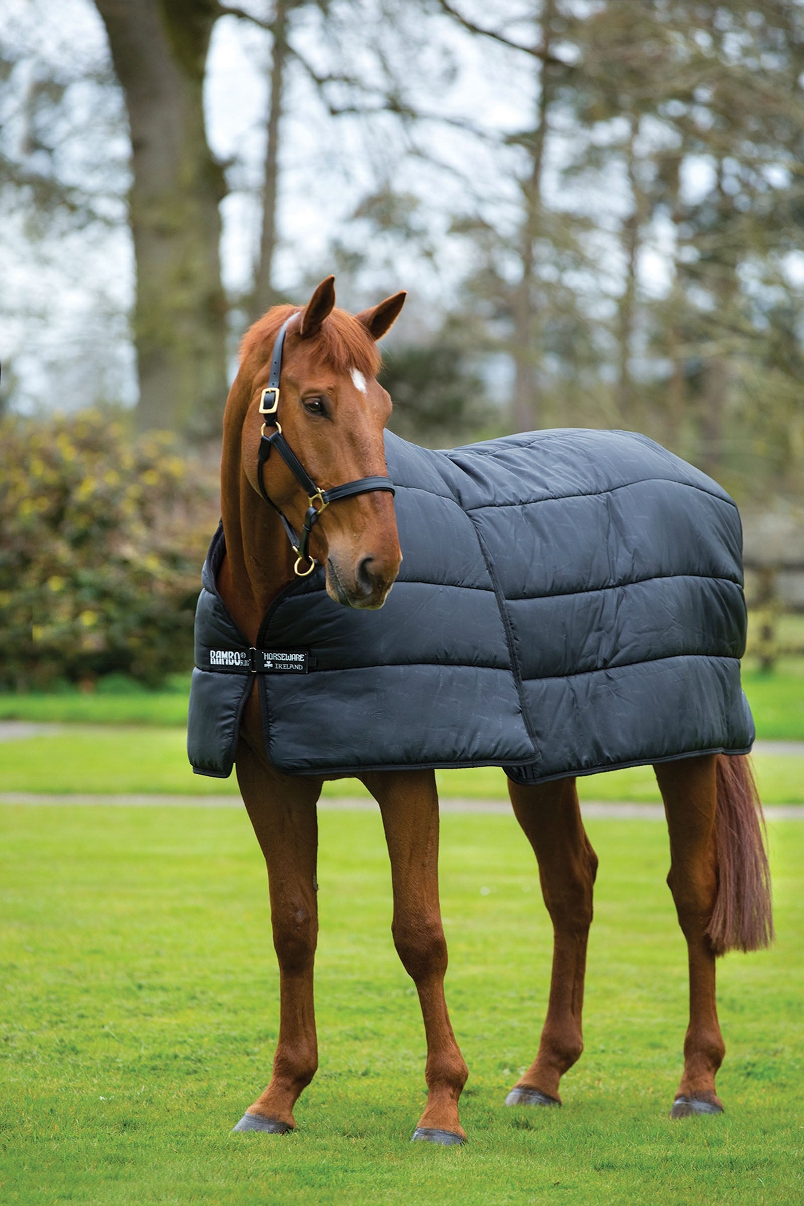 Horseware Rambo Optimo Liner underdækken 200g Hestedækken