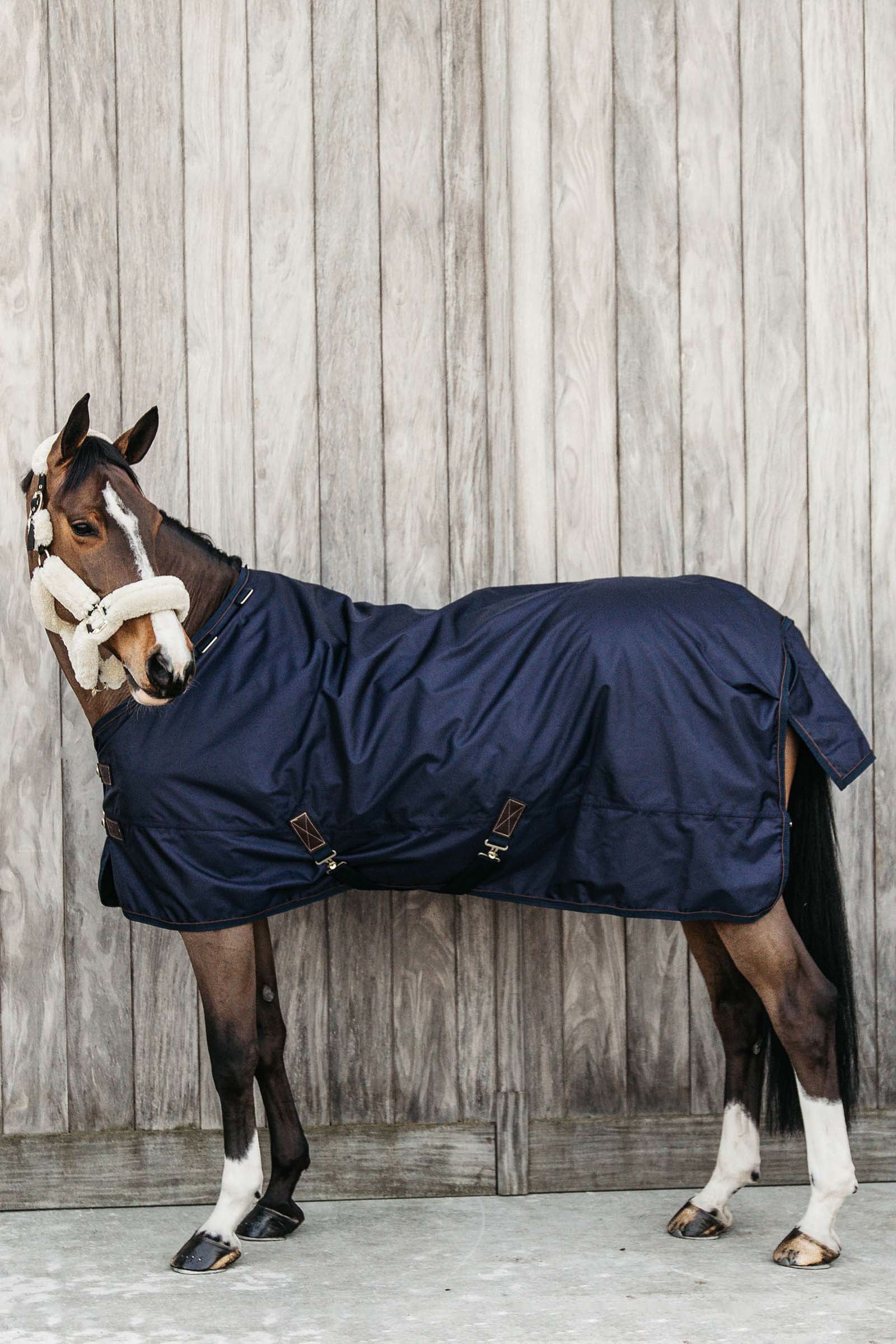 Kentucky Horsewear All Weather overgangsdækken, 160 g Hestedækken