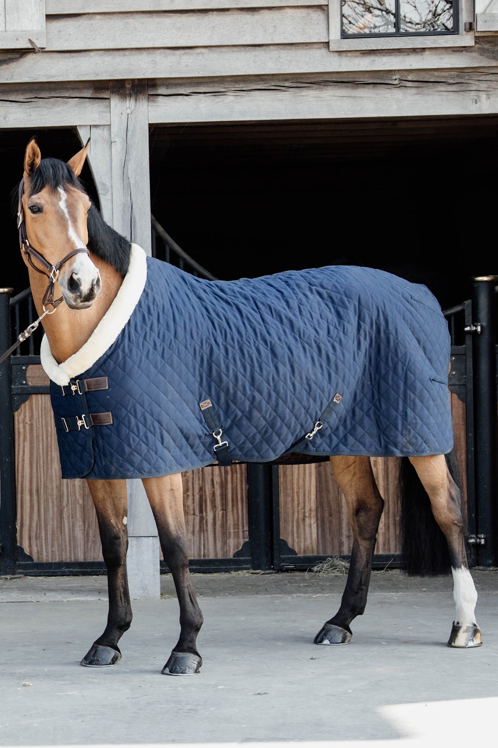 Kentucky Horsewear Show-dækken, 160 g Hestedækken