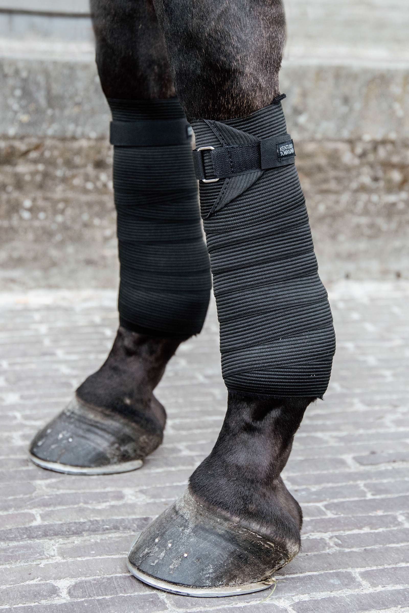 Kentucky Horsewear Polar fleece- & elastikbandager Leg Protection & Hoof Protection for Horses
