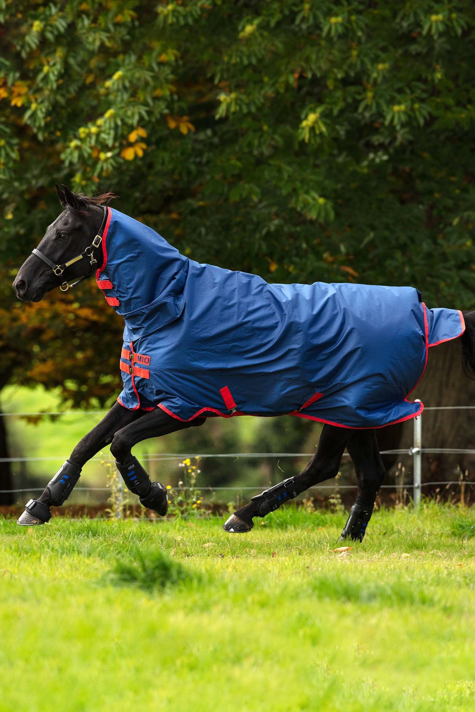 Horseware Mio vinterdækken med hals i en del, 350g Hestedækken