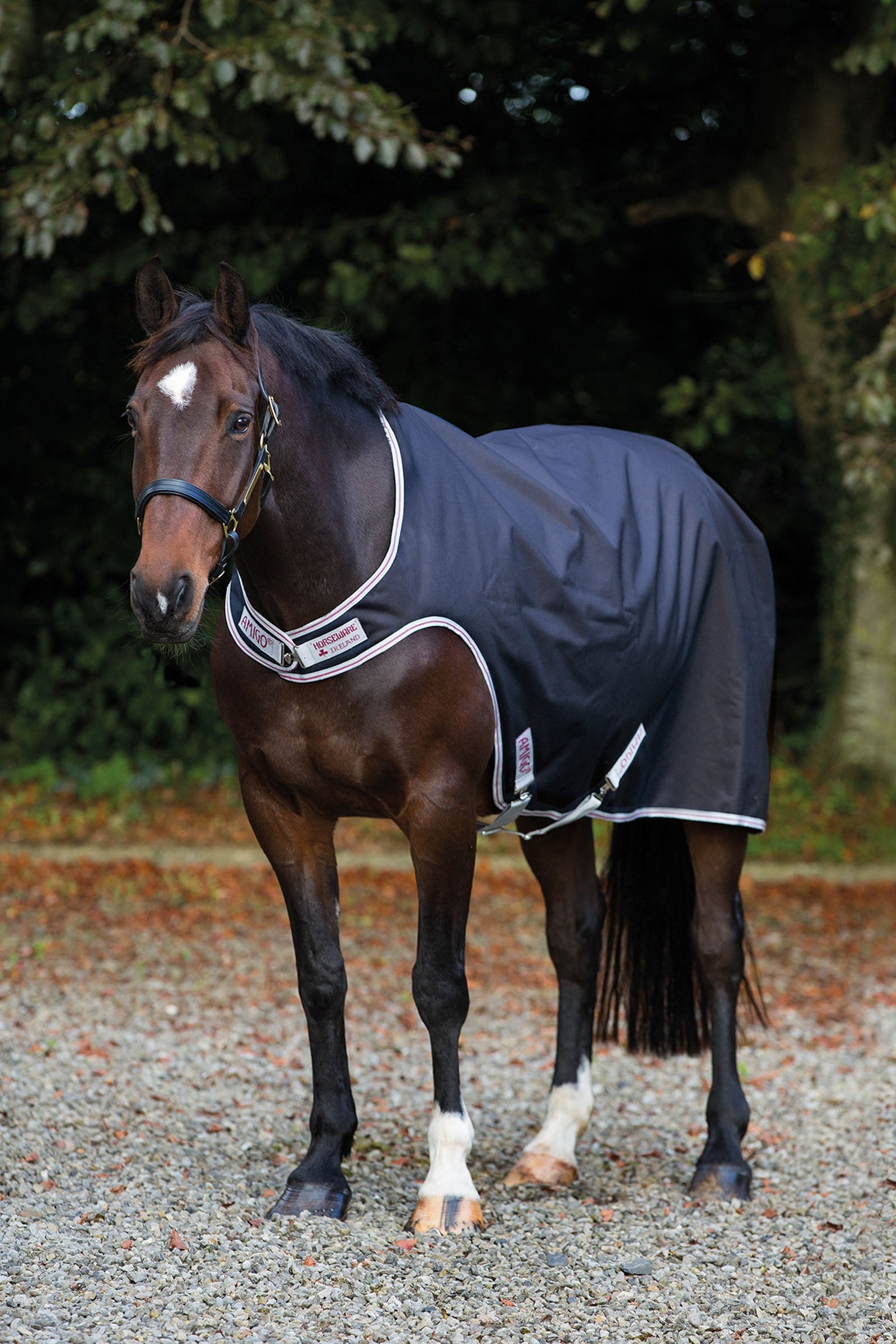 Horseware Amigo Walker Rug, 100g Horse Rugs