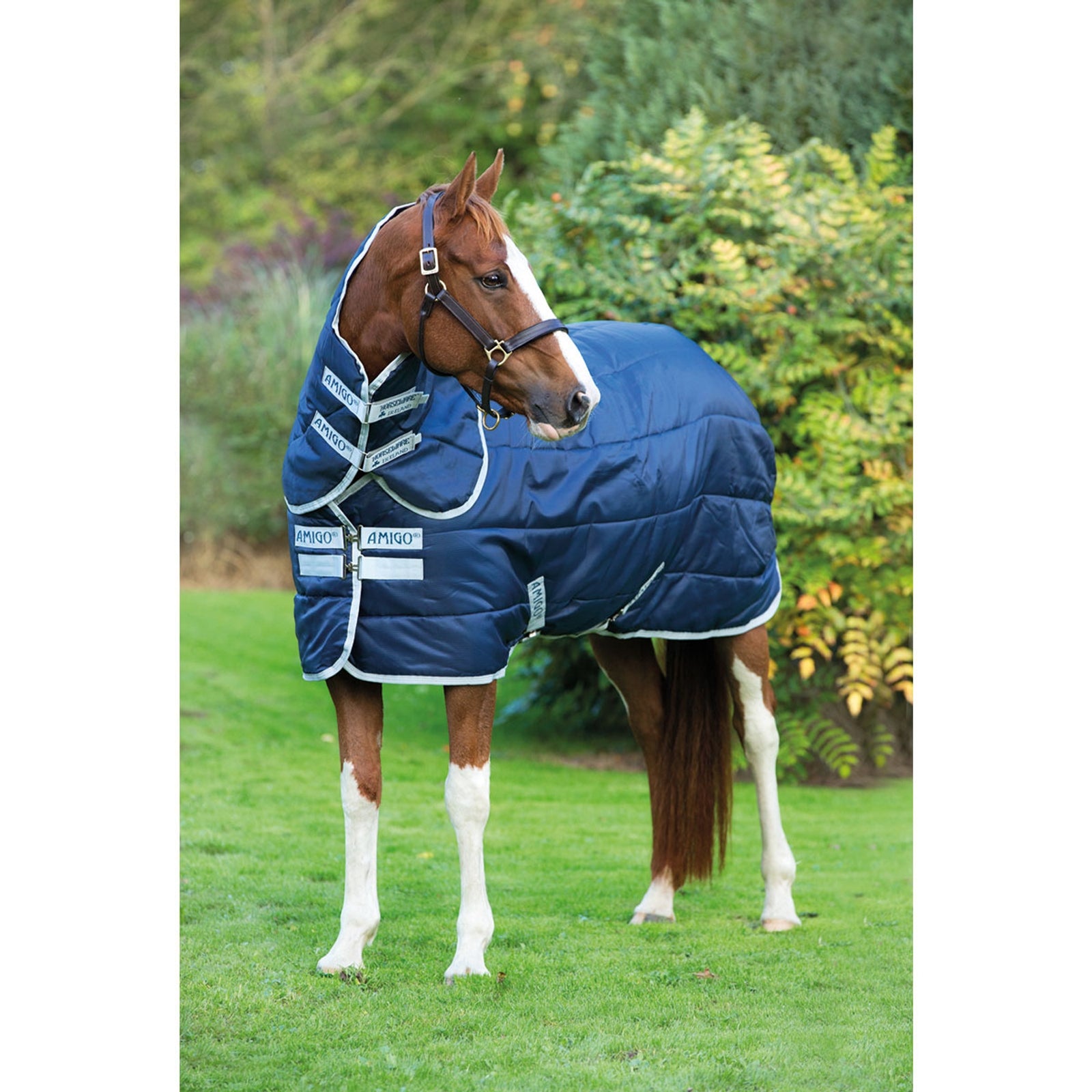 Horseware Amigo Insulator Plus Stalddækken med aftageligt halsstykke, 200g Hestedækken