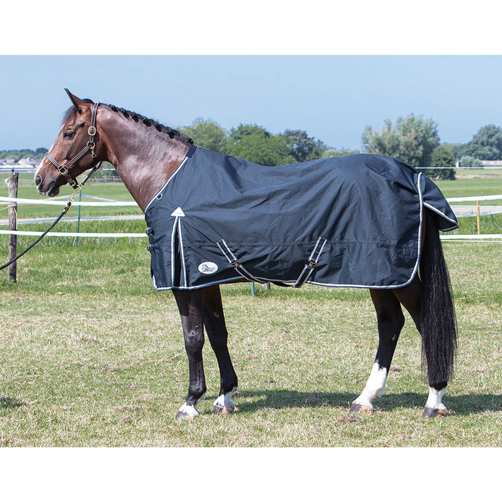 Harry's Horse Thor rug 0gr ebony , TC lining Horse Rugs