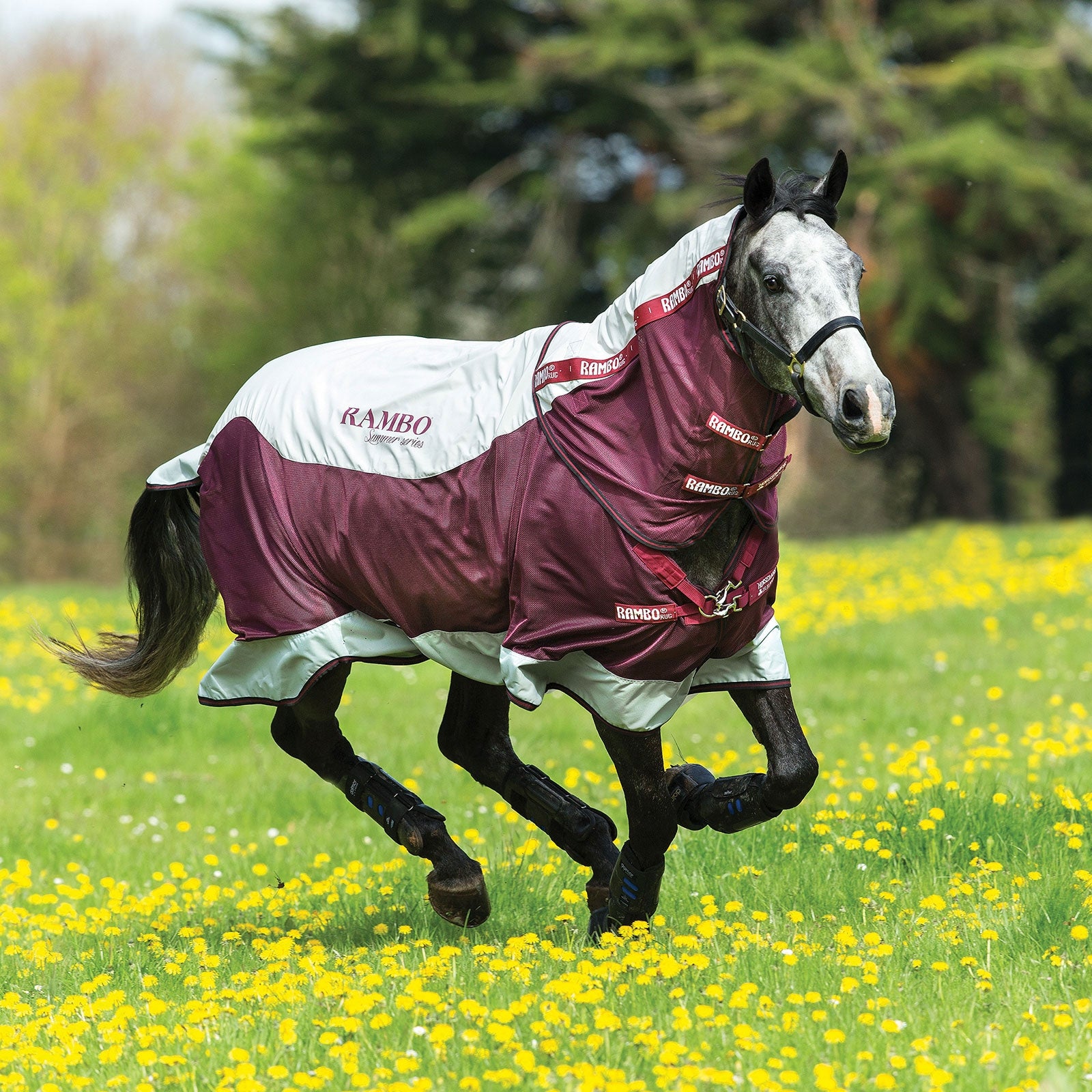 Horseware Rambo Summer Series udedækken med liner (0g / 100g) og aftagelig halsdel Hestedækken