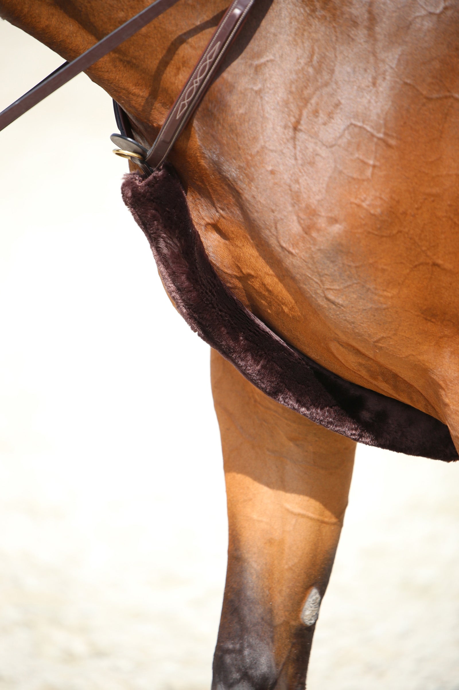 Kentucky Horsewear fåreskindsbeskytter til brystplade Trenser & tøjler