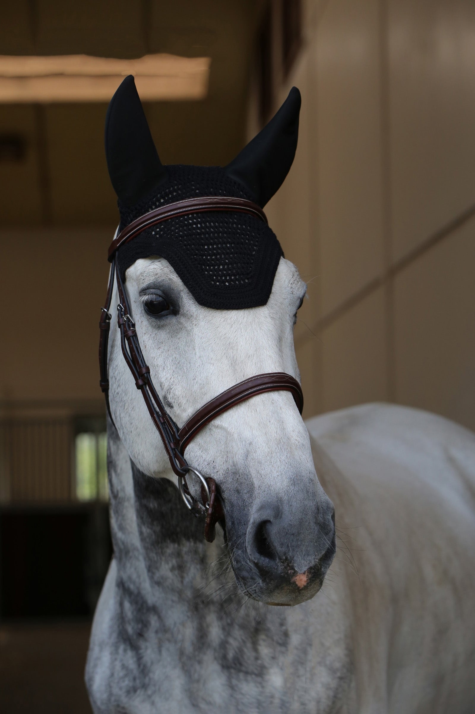 Kentucky Horsewear Wellington Hut, Soundless Sadelunderlag