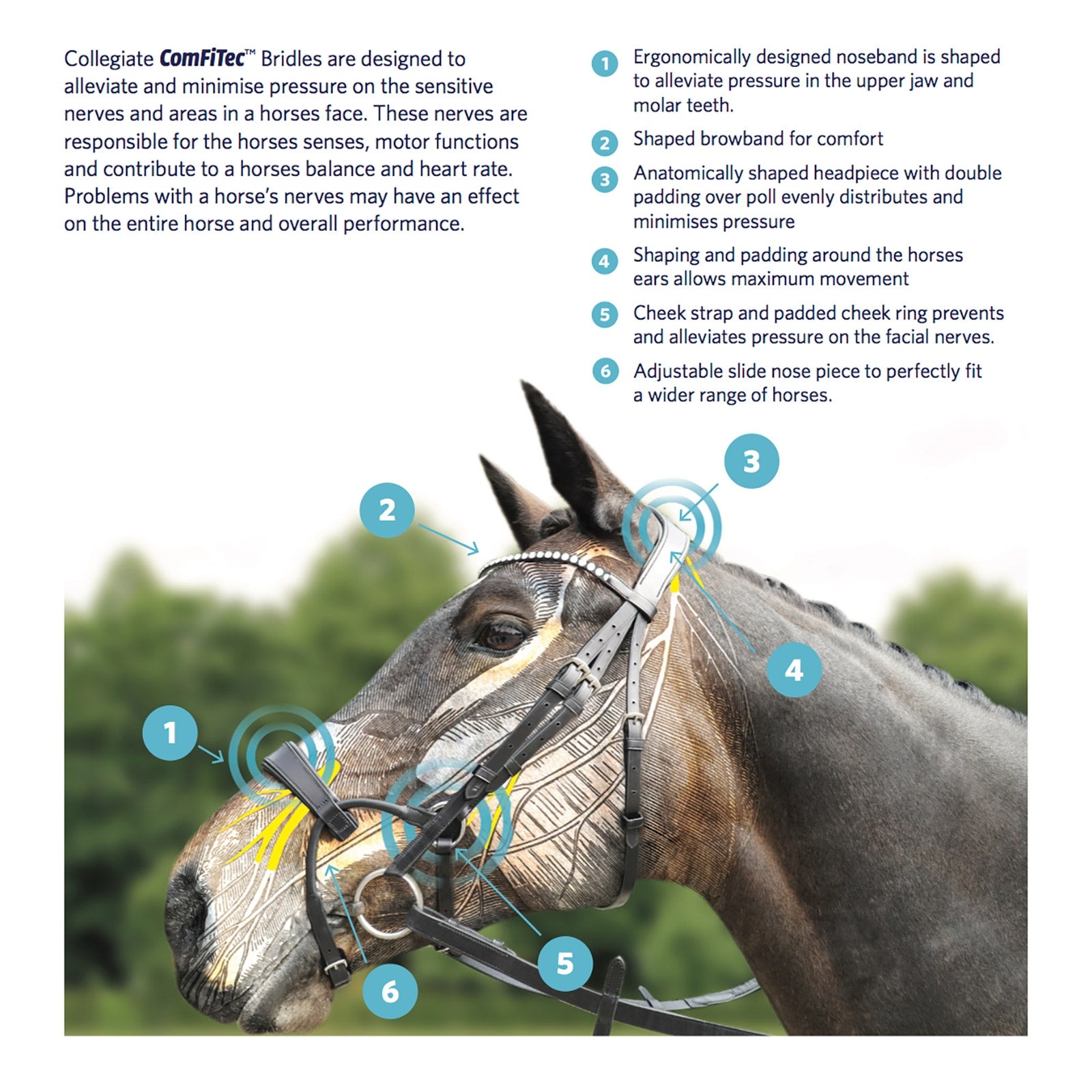 Collegiate ComFiTec Crystal Bridle Bridles & Reins