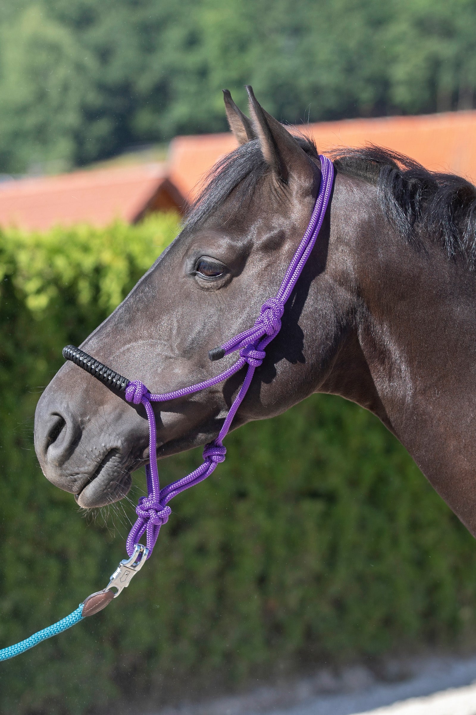 USG Knotted Rope Halter Halters & Leads