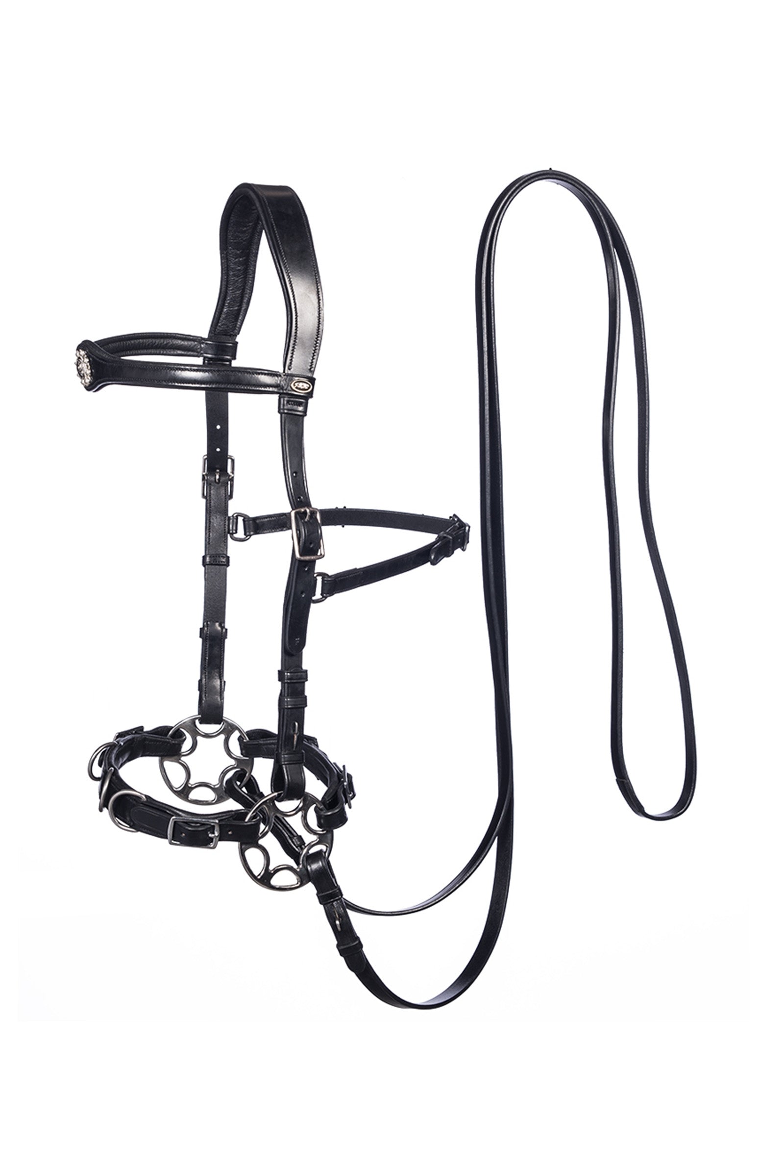 F.R.A. Freedom Riding Articles Caval Compl. Cavemore Bridle English Leather (Syst.2) Shire Bridles & Reins