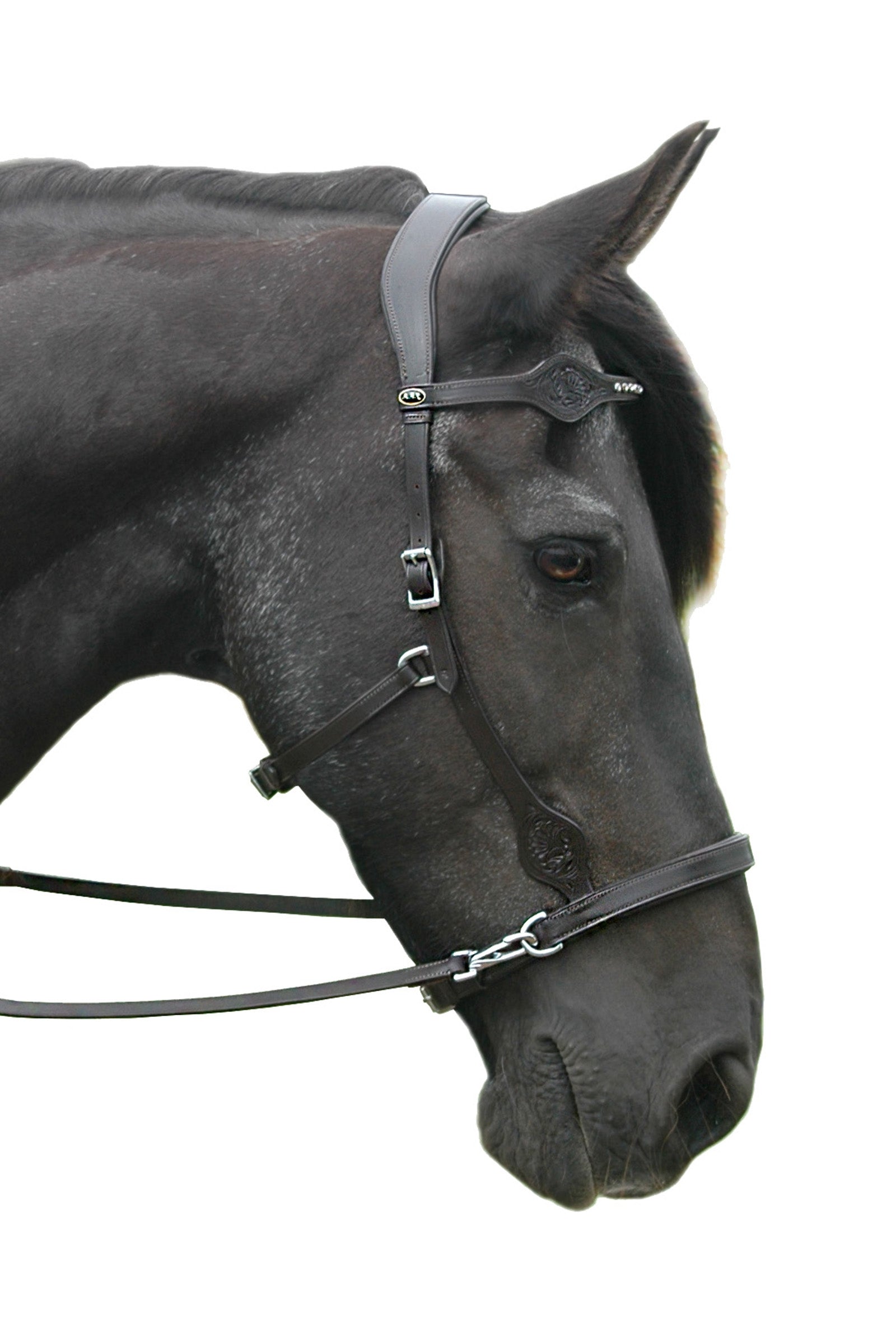 F.R.A. Freedom Riding Articles Dandy Sidepull With Reins (System 3) Bridles & Reins