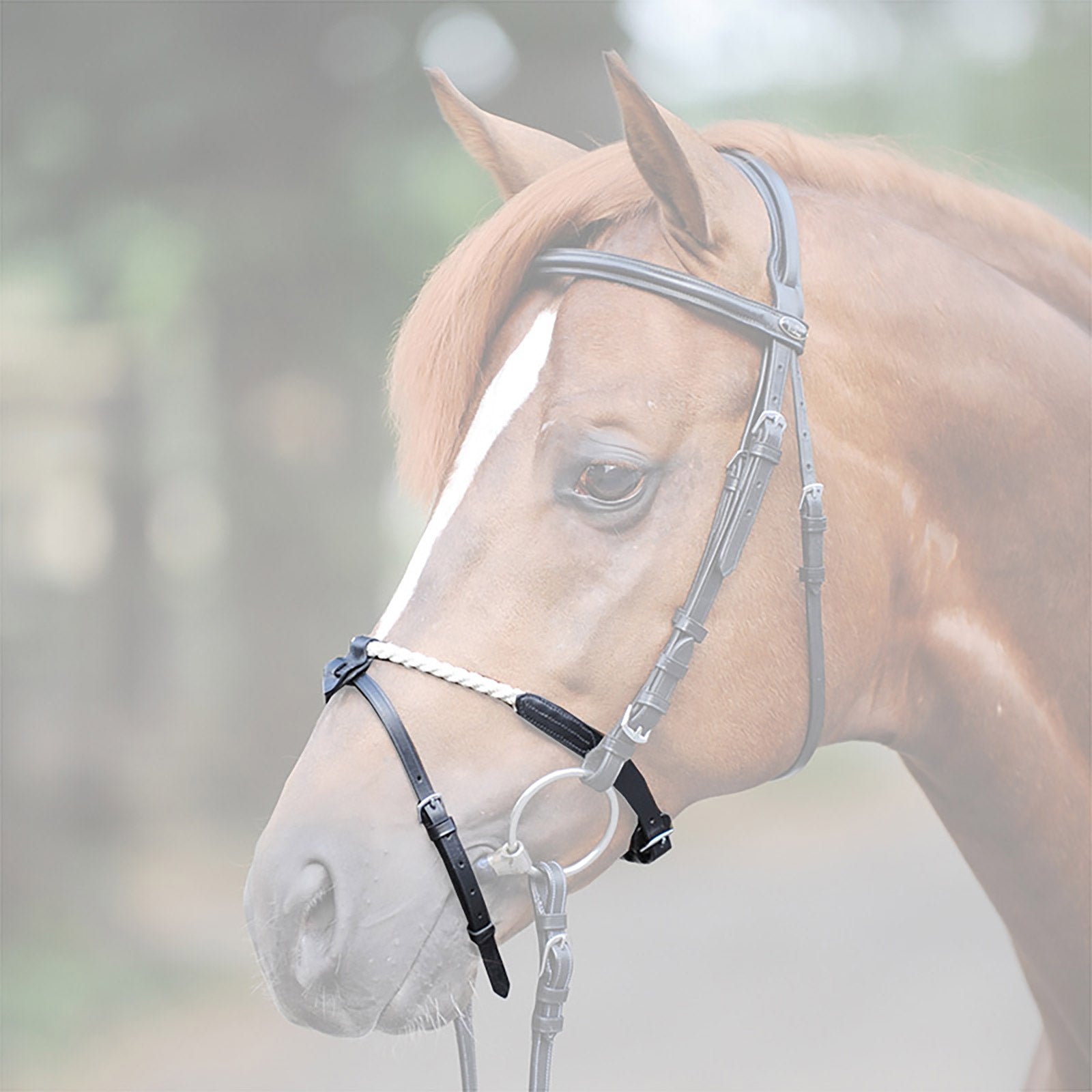 Kavalkade Rope noseband Bridles & Reins