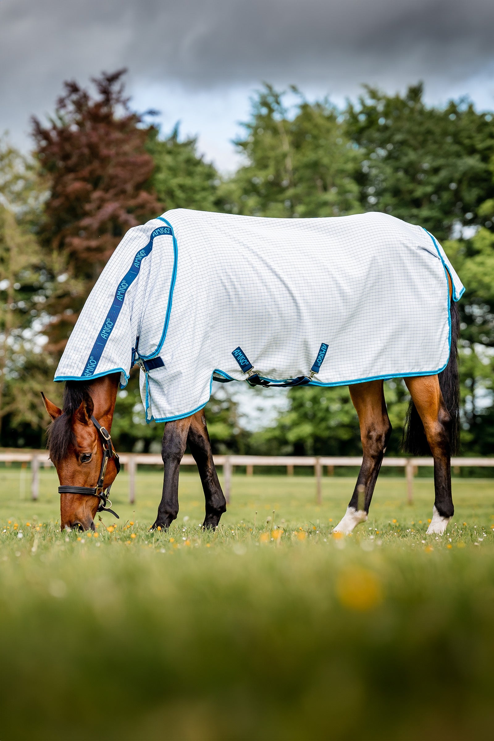 Horseware Amigo Fluedækken Plus Hestedækken