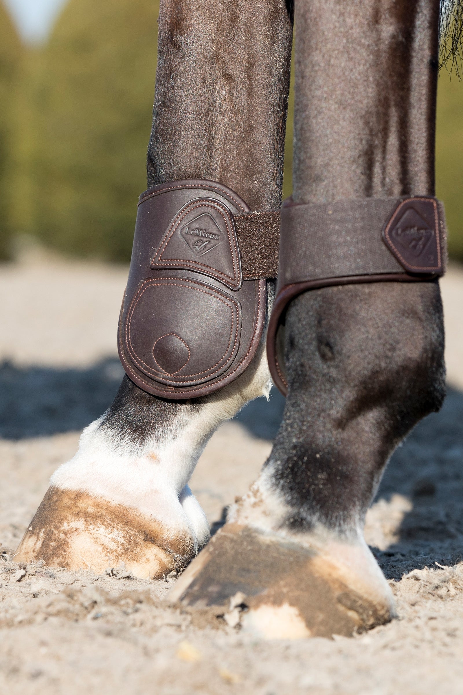 LeMieux Capella Leather Fetlock Boots Leg Protection & Hoof Protection for Horses