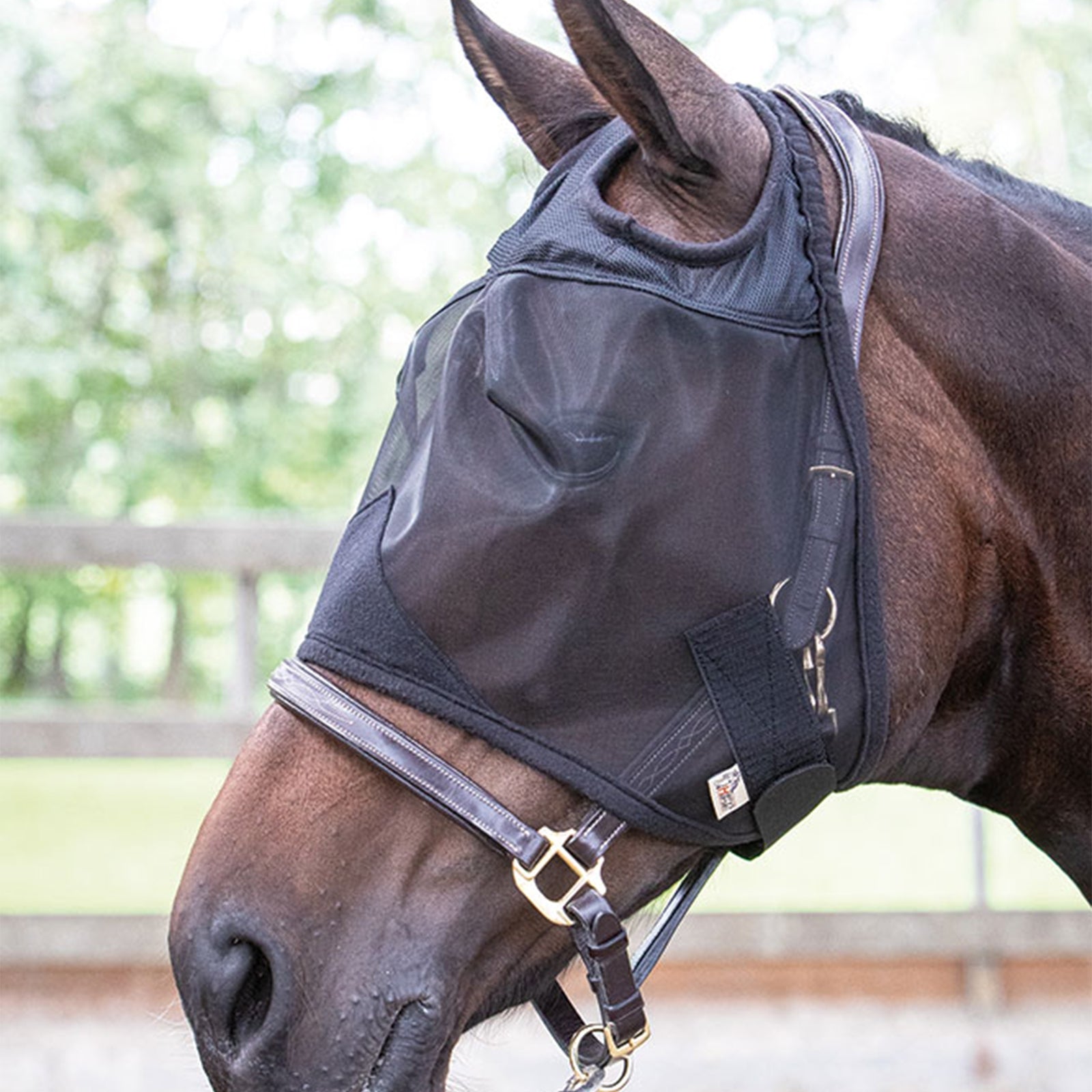 Harry's Horse Fly Mask Flyshield without Ears Antifly Protection for Horses