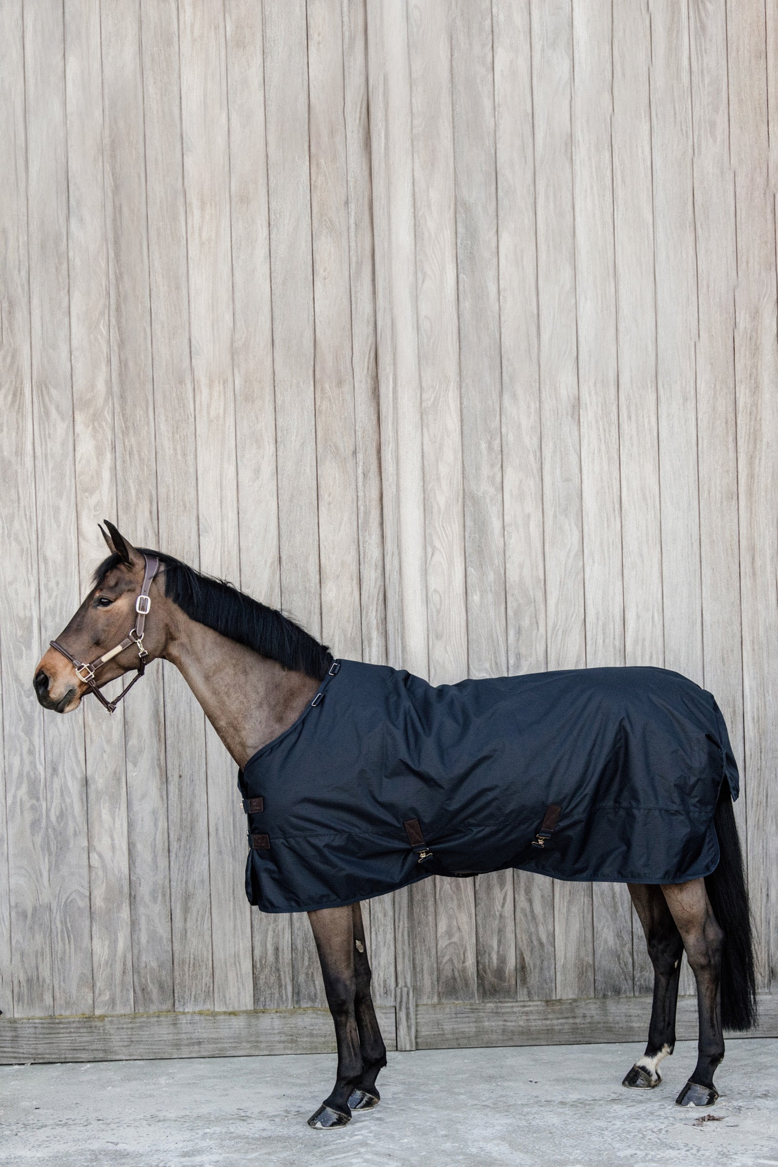 Kentucky Horsewear All Weather Classic overgangsdækken, 50 g Hestedækken