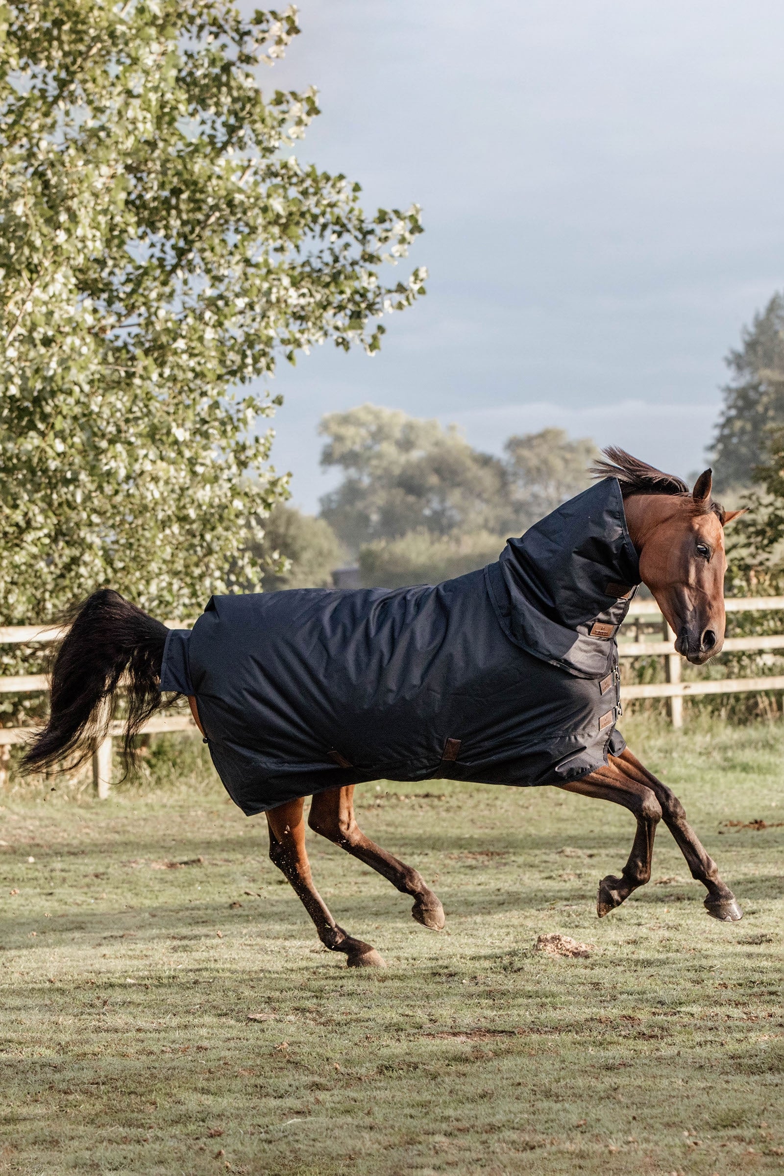 Kentucky Horsewear All Weather Classic overgangsdækken, 150 gr Hestedækken