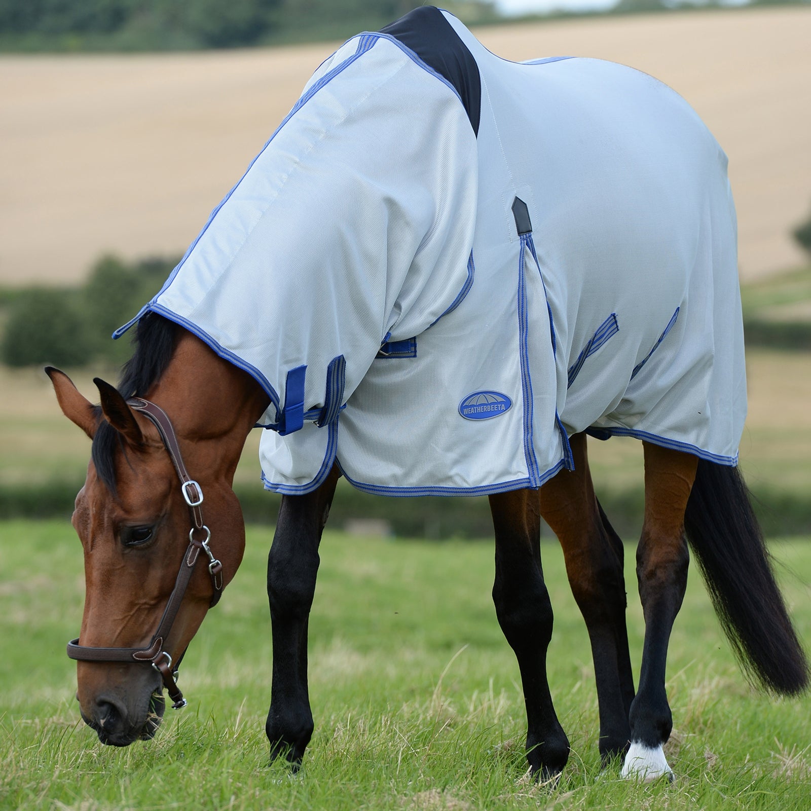 Weatherbeeta Comfitec Airflow II Fly Rug with Detachable Neck Horse Rugs