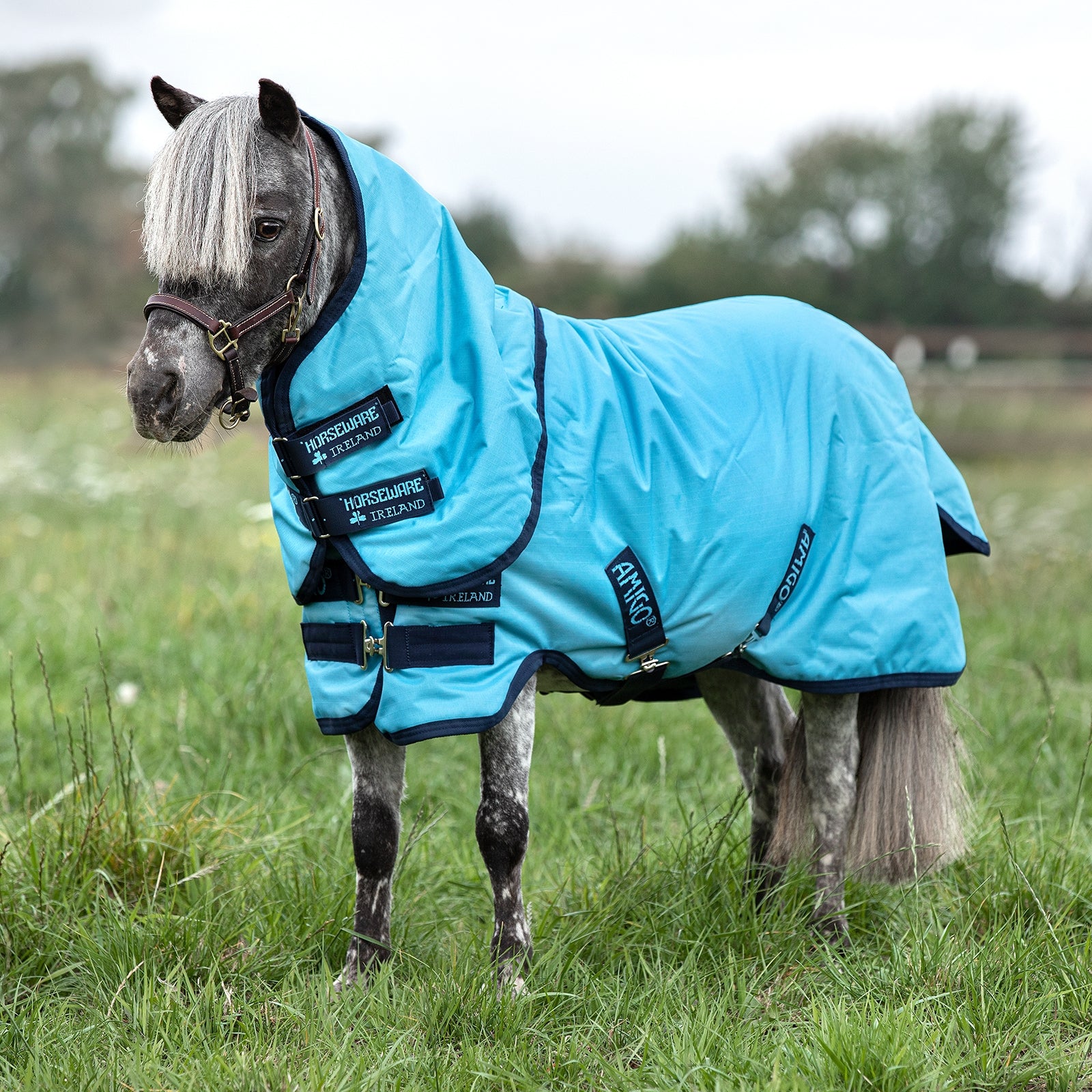 Horseware Amigo Hero 6 Petite Plus Regndækken inkl. aftagelig Hals, 0 gr Hestedækken