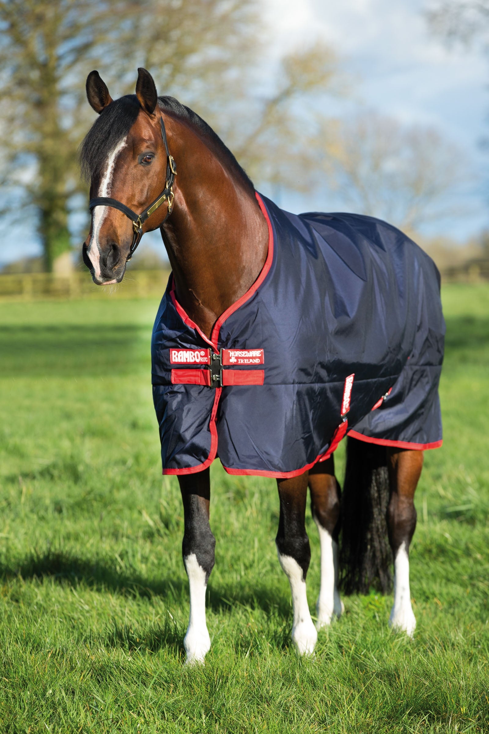 Horseware Rambo Original Overgangsdækken, 200 gr Hestedækken