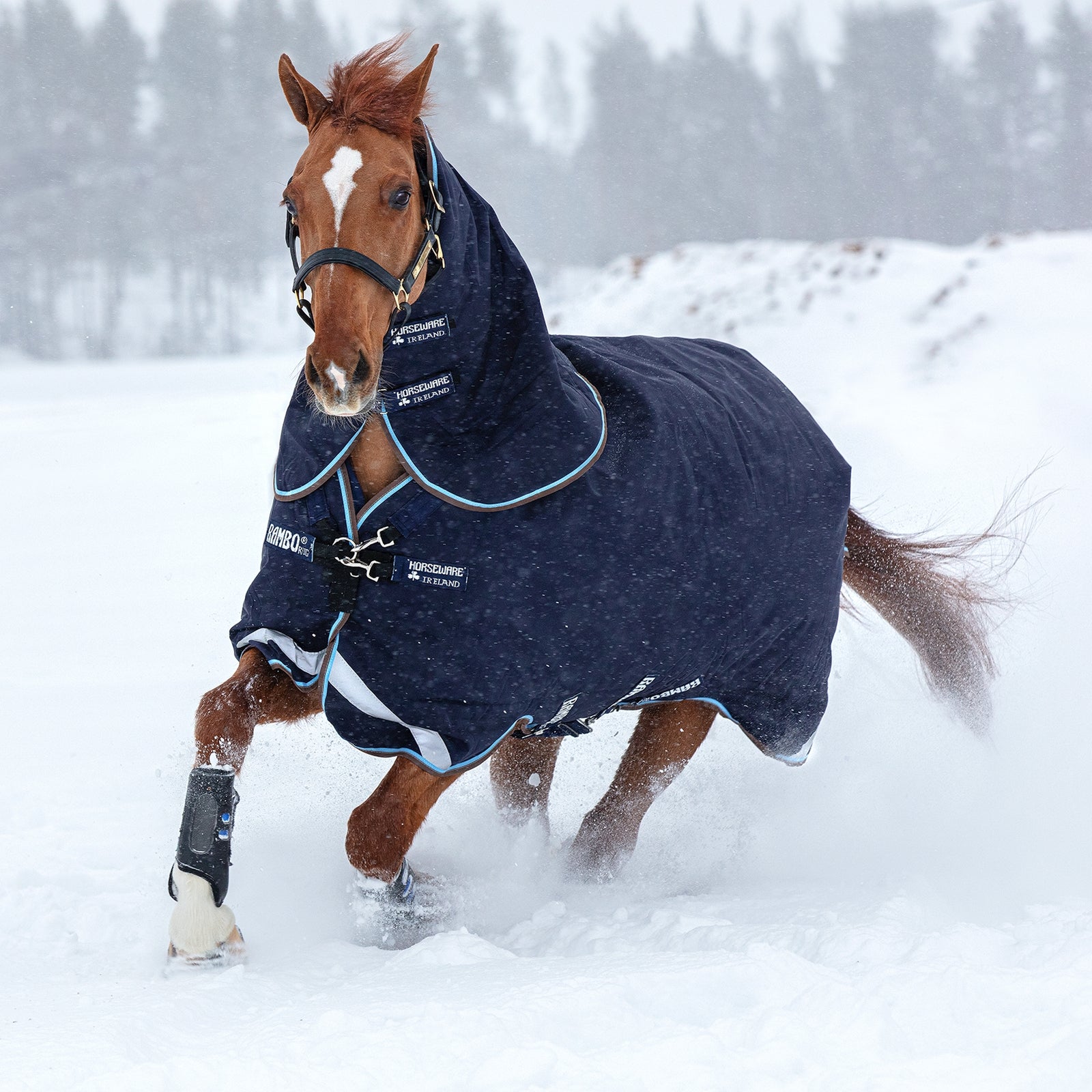 Horseware Rambo Duo Overgangsdækken inkl. Aftagelig Hals, 100 gr Hestedækken
