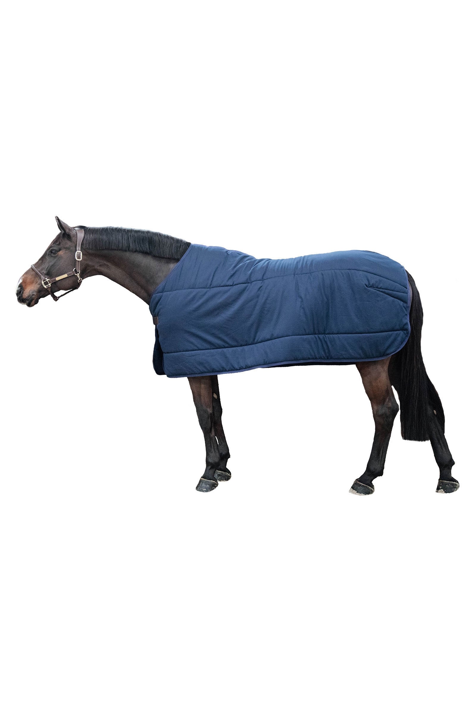 Kentucky Horsewear Classic Under Rug, 200g Horse Rugs
